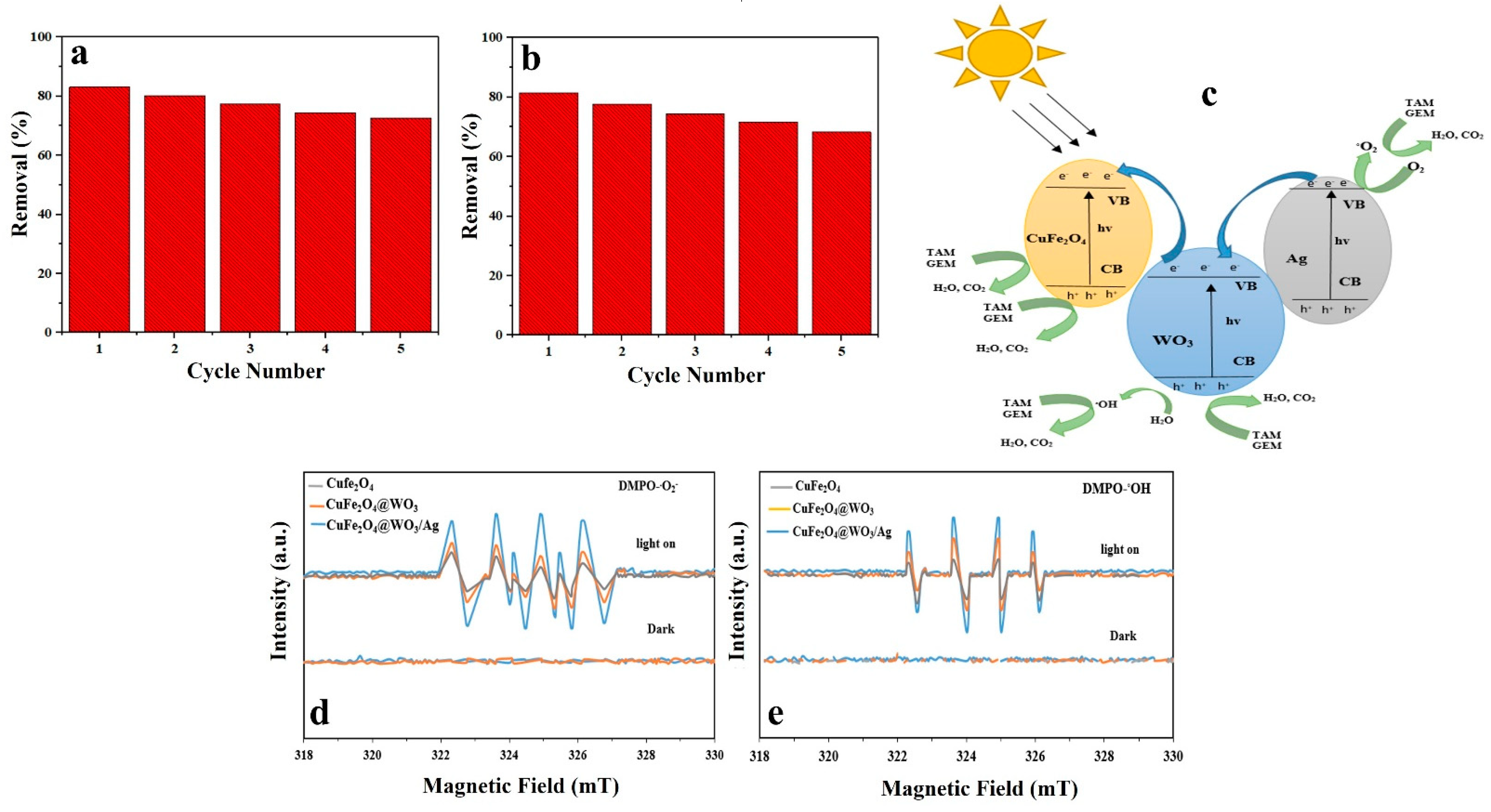 Nanomaterials 11 00298 g009 Nanomaterials 11 00298 g009
