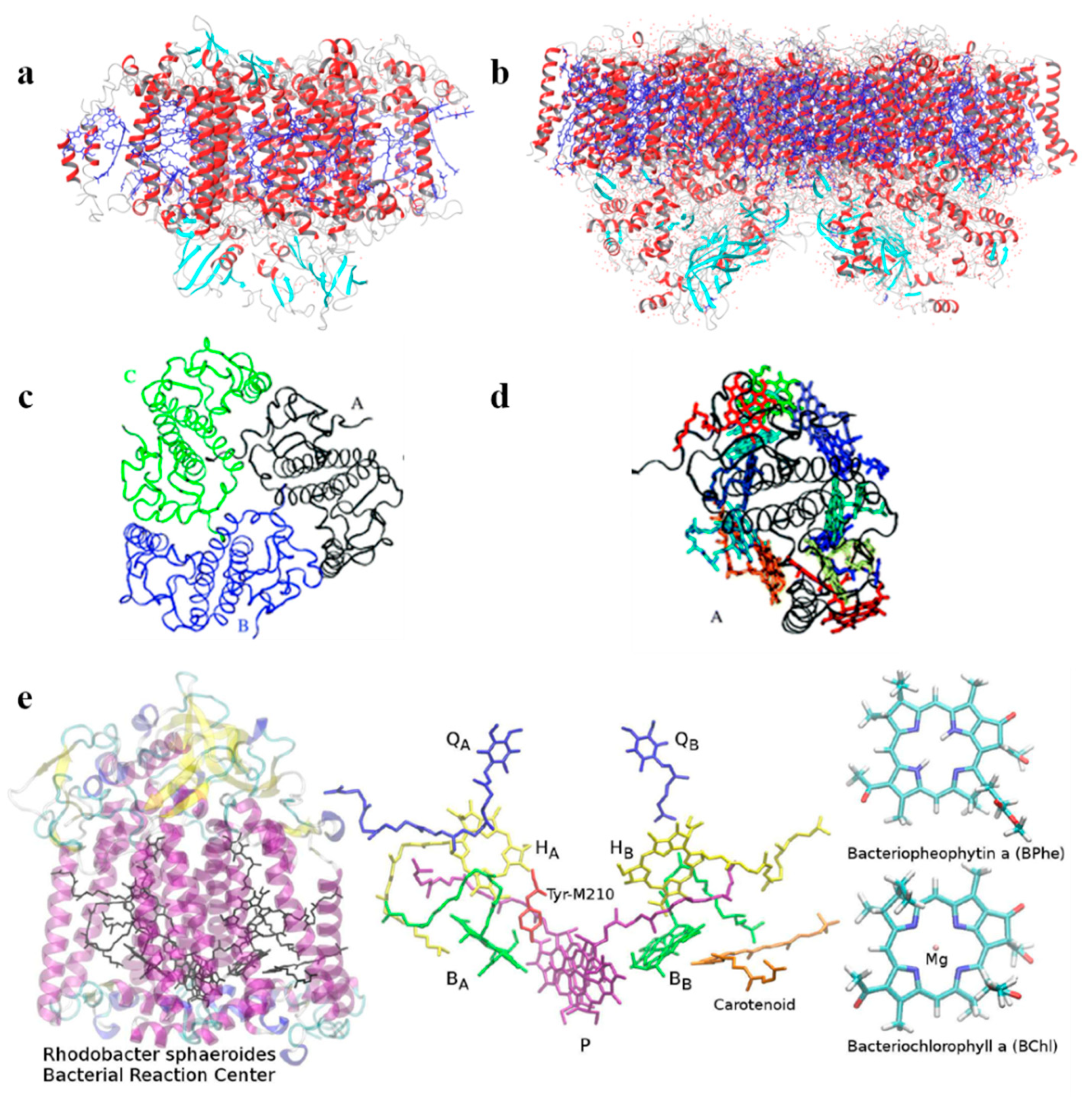Nanomaterials 11 00299 g002