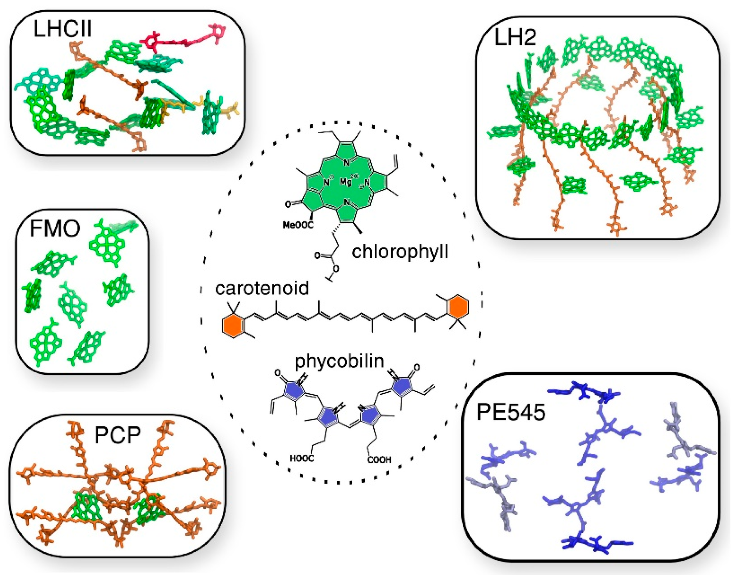 Nanomaterials 11 00299 g005