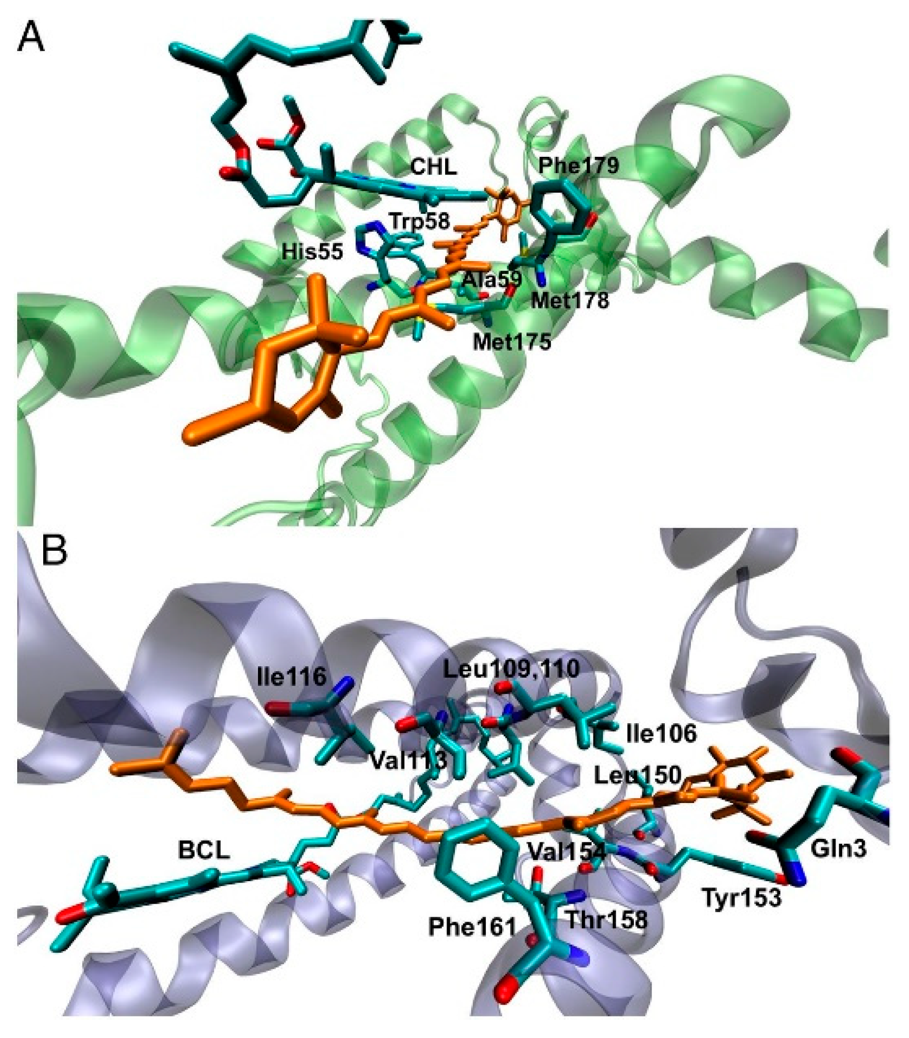 Nanomaterials 11 00299 g009