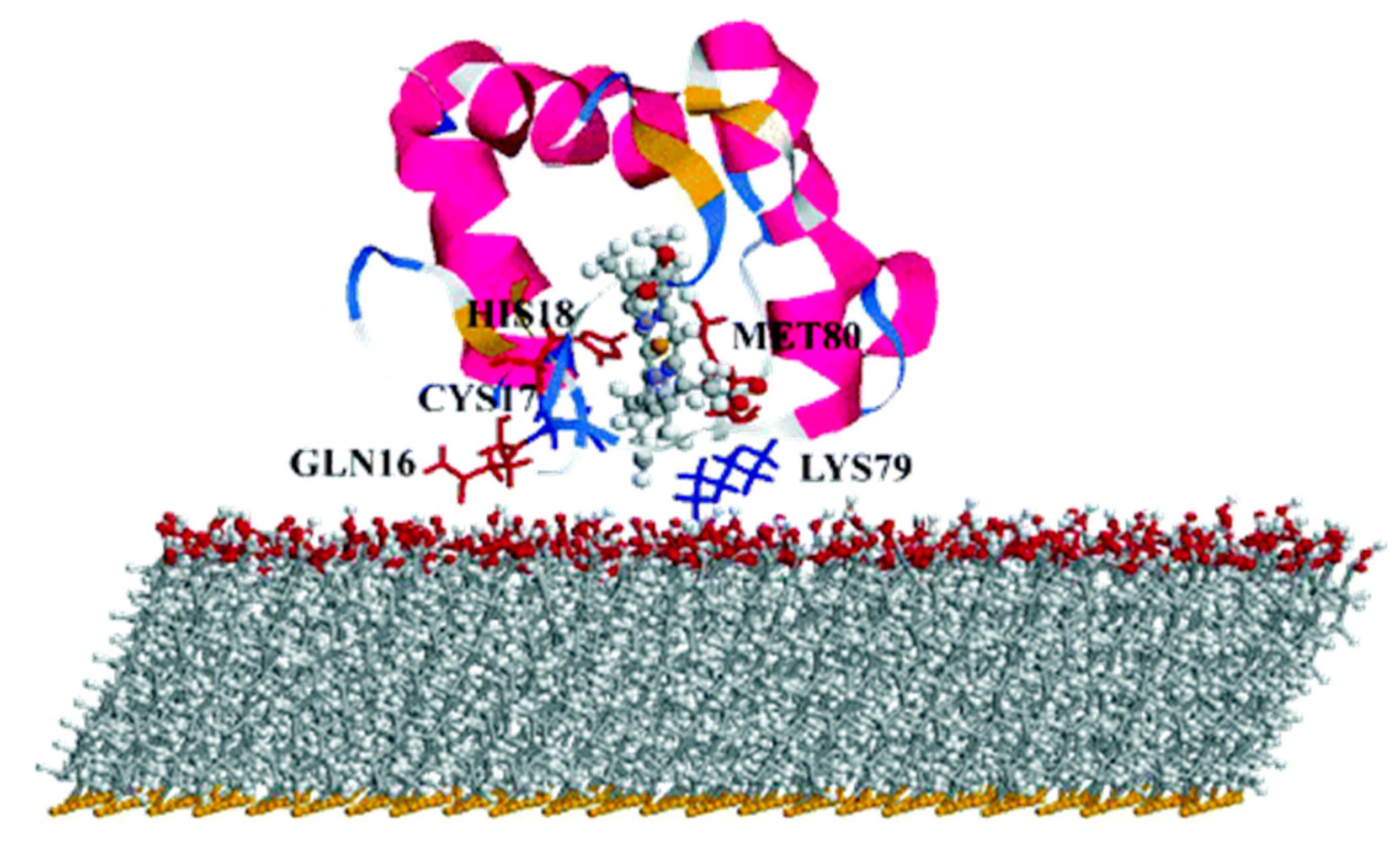 Nanomaterials 11 00299 g012