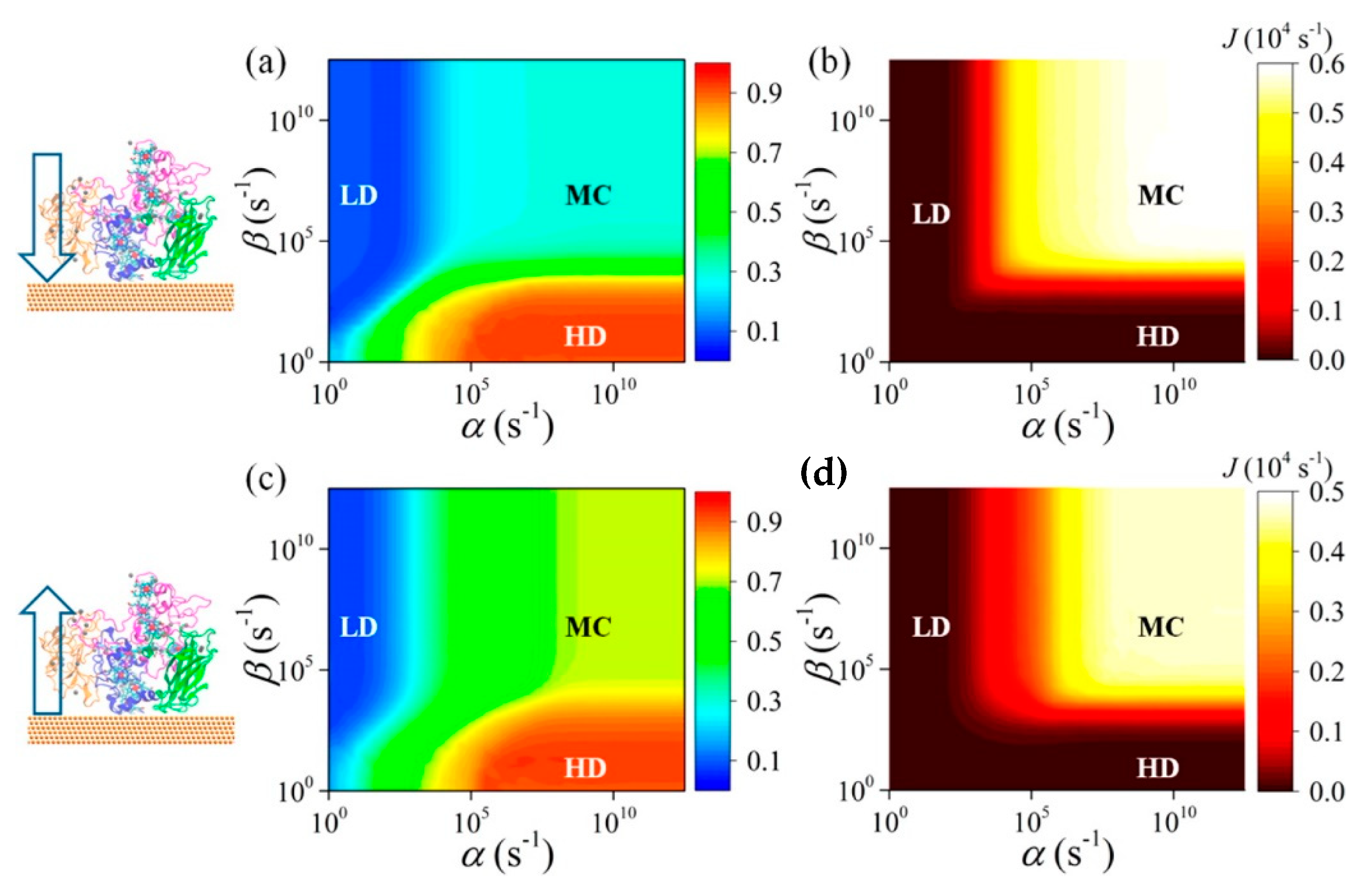 Nanomaterials 11 00299 g013
