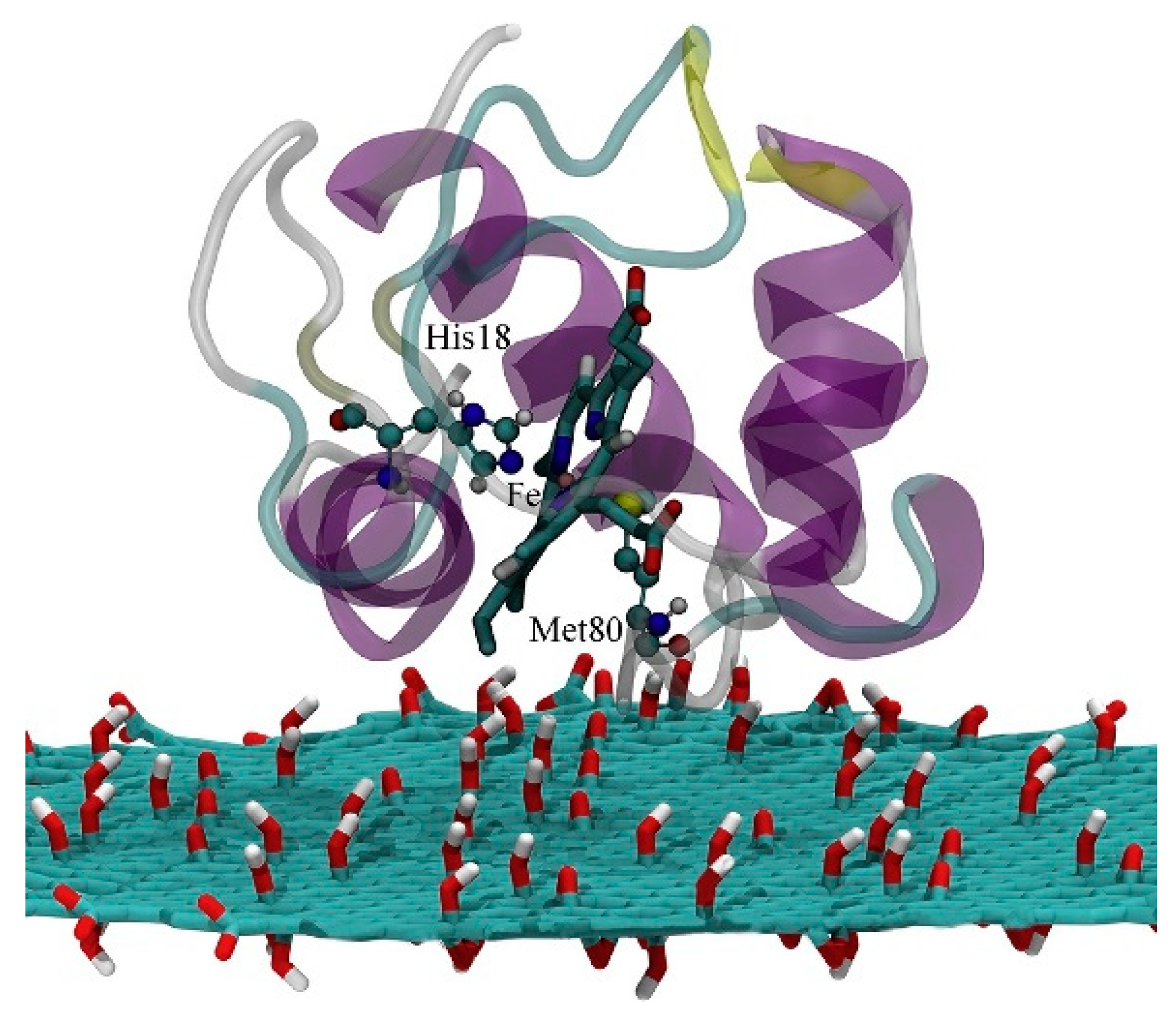 Nanomaterials 11 00299 g014