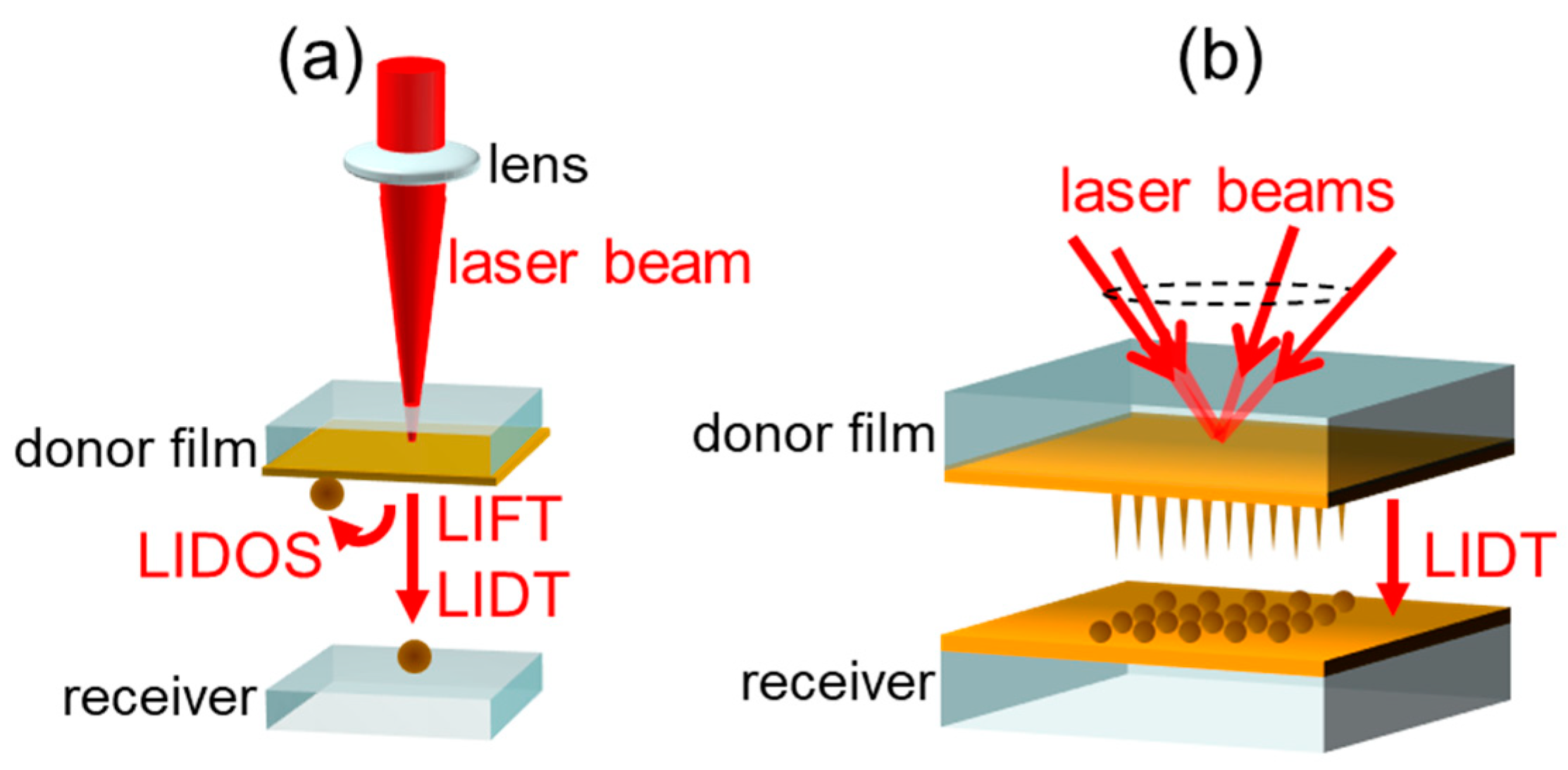 Nanomaterials 11 00305 g001