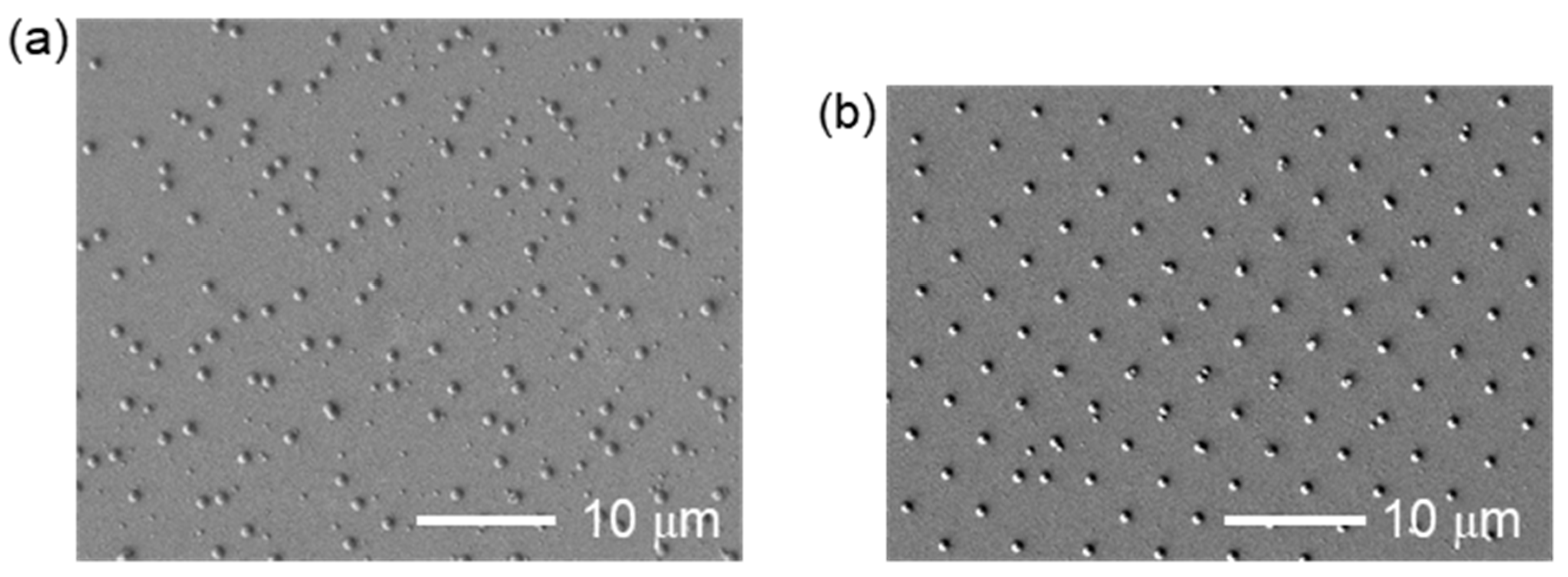 Nanomaterials 11 00305 g003