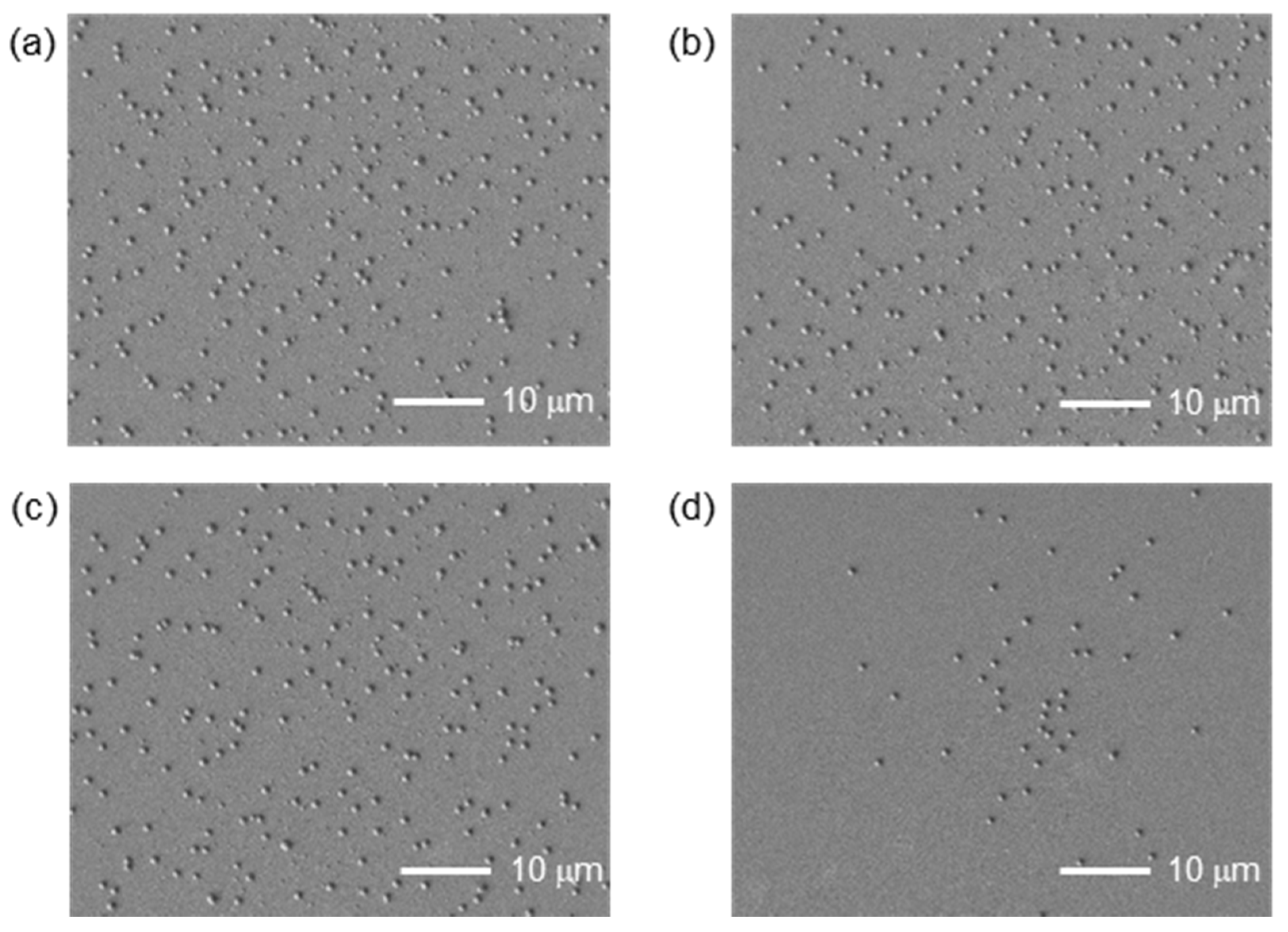 Nanomaterials 11 00305 g004