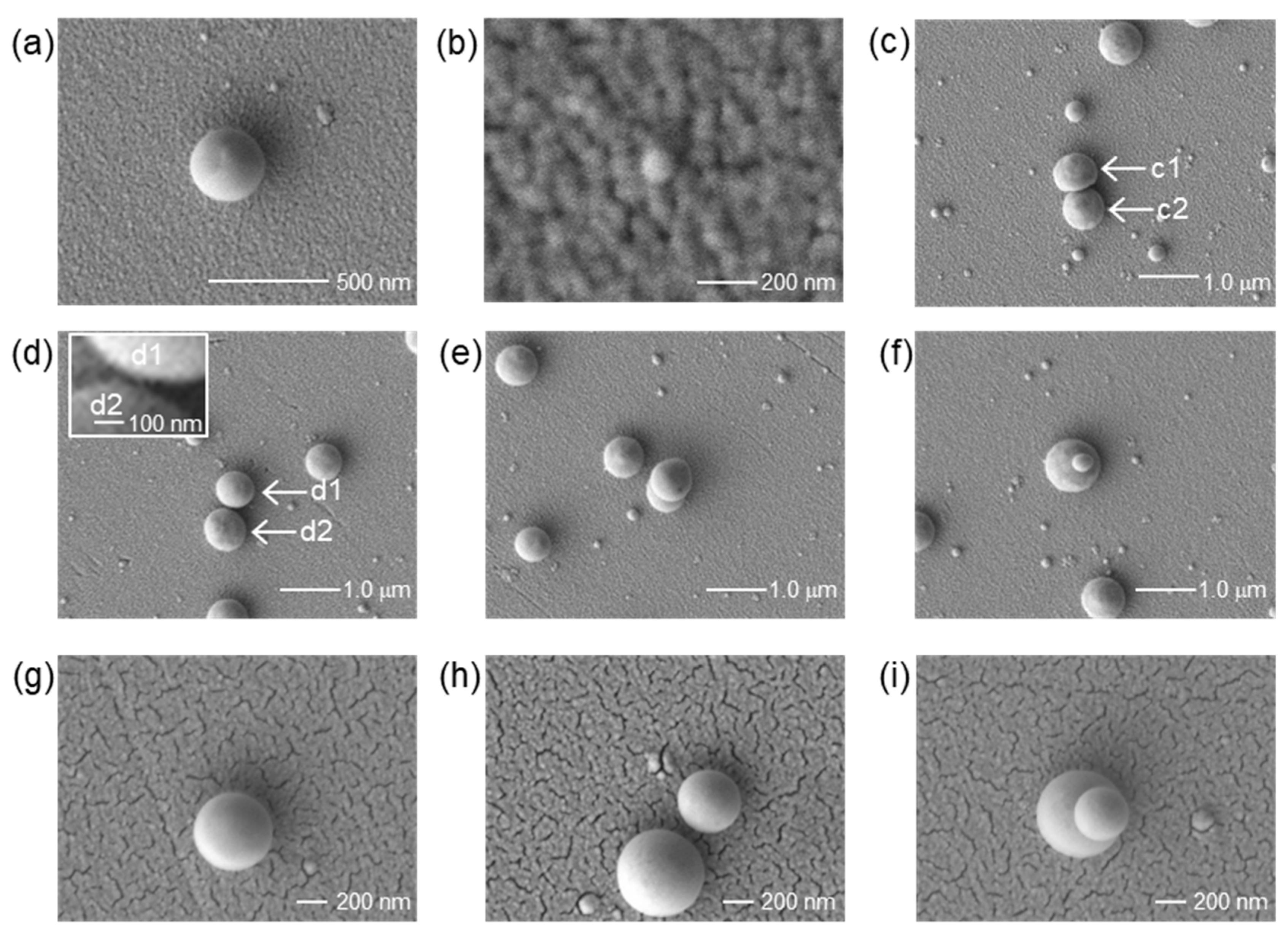 Nanomaterials 11 00305 g005