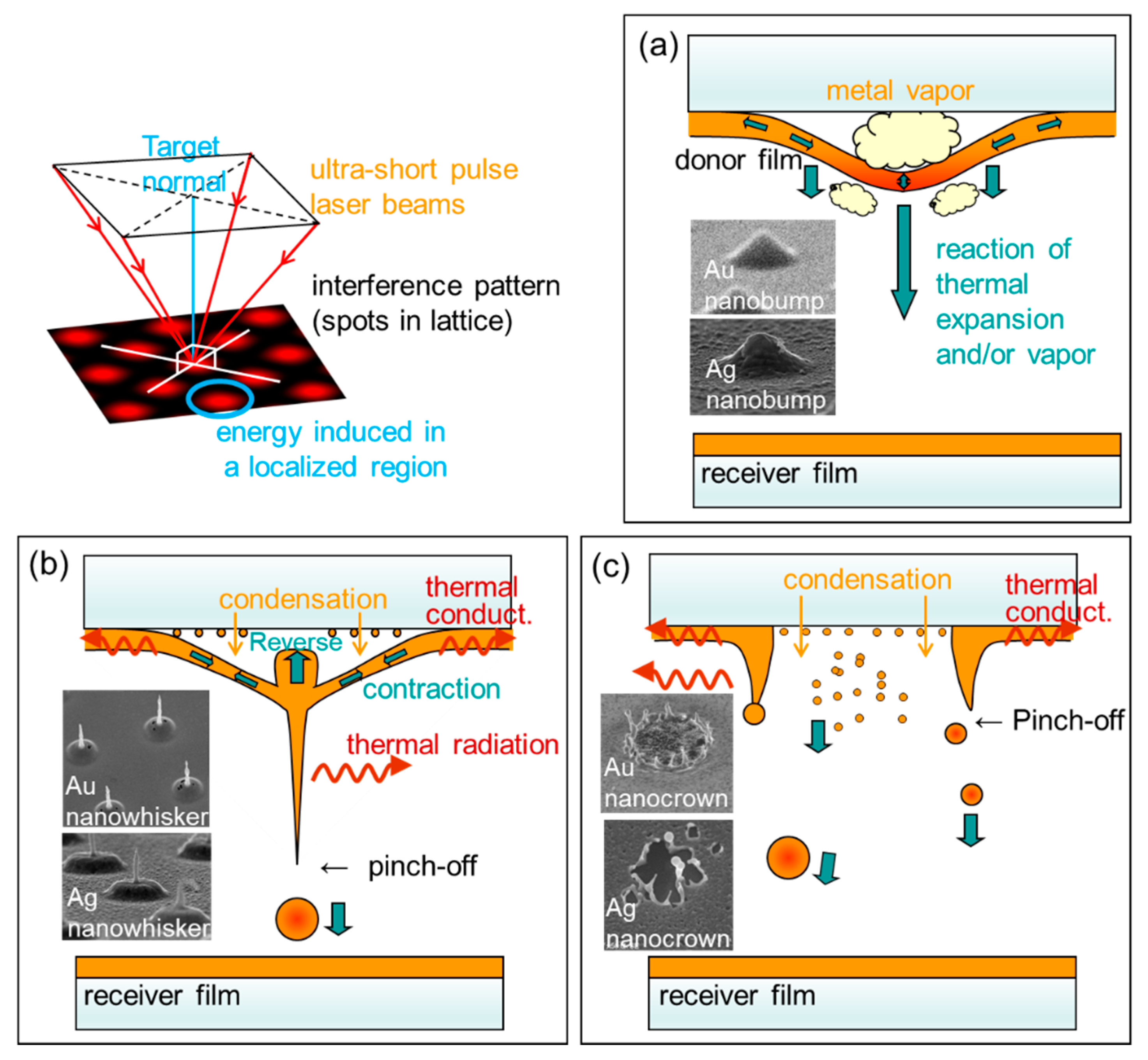 Nanomaterials 11 00305 g008