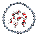Nanomaterials 11 00306 i026