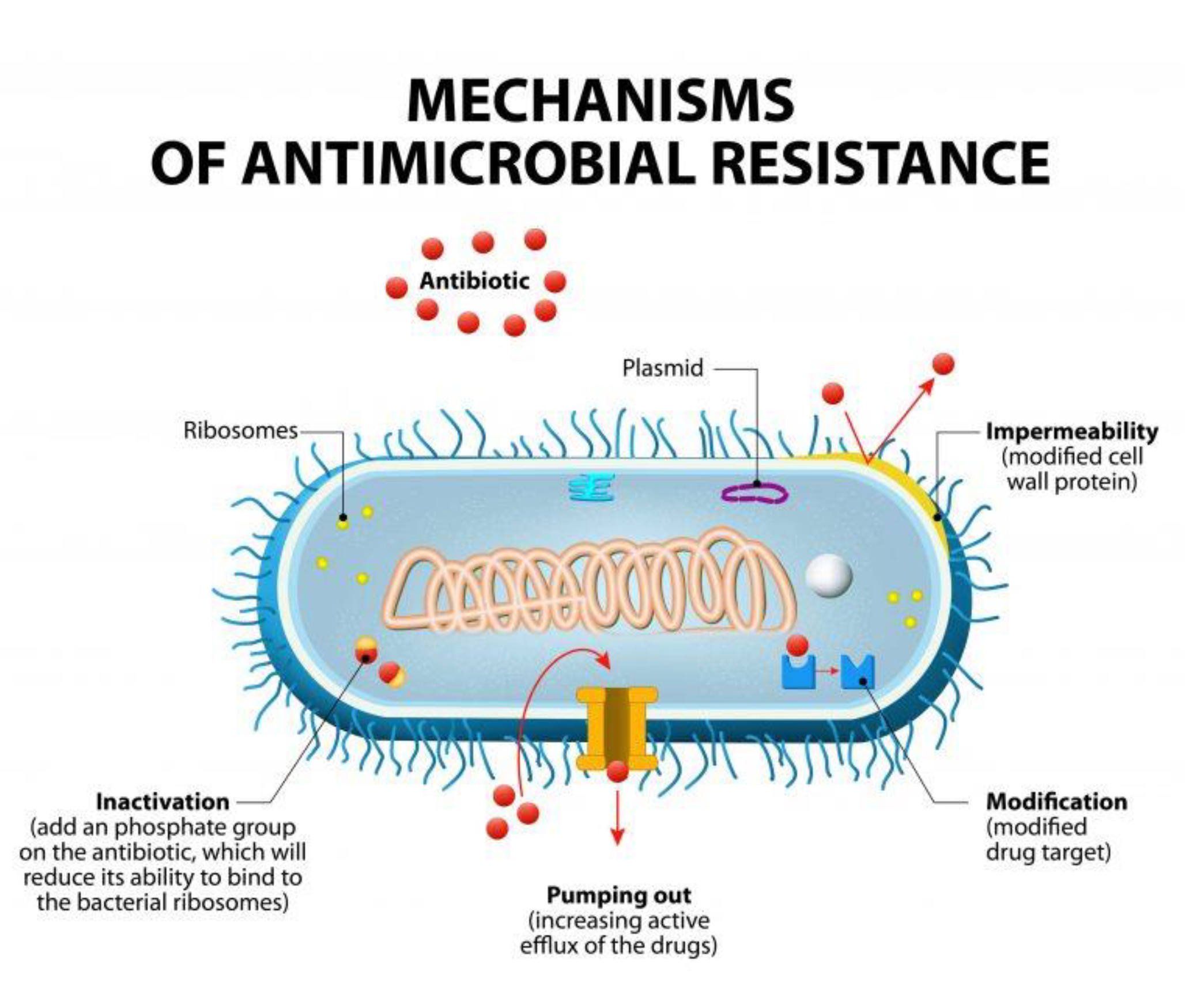 Nanomaterials 11 00312 g001 Nanomaterials 11 00312 g001