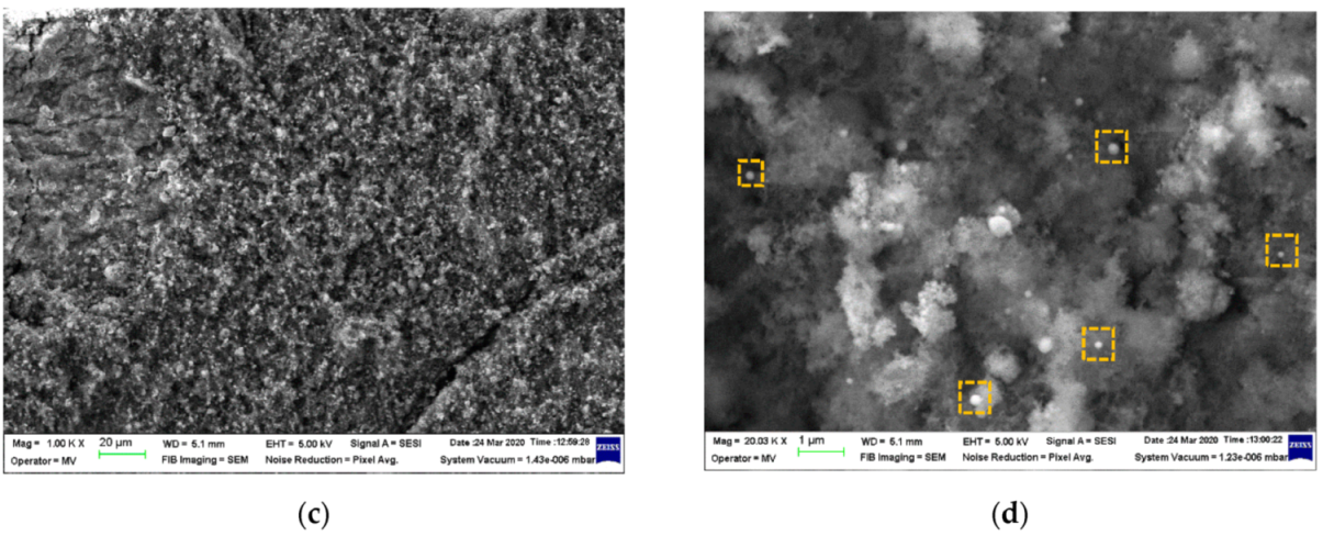Nanomaterials 11 00323 g001b