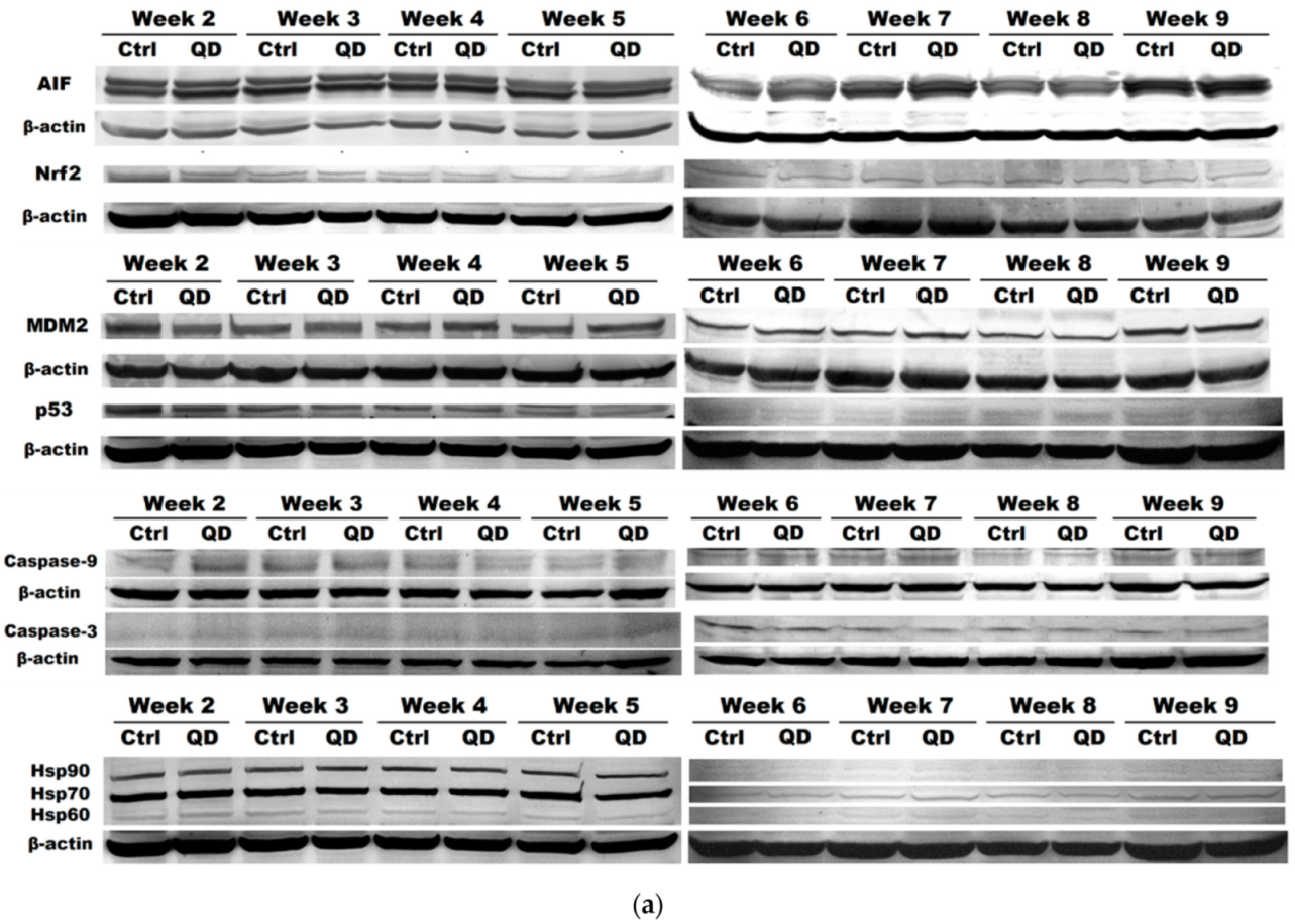 Nanomaterials 11 00323 g006a