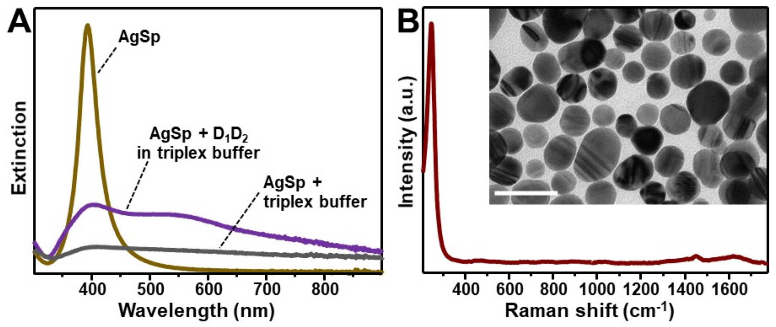 Nanomaterials 11 00326 g001 Nanomaterials 11 00326 g001