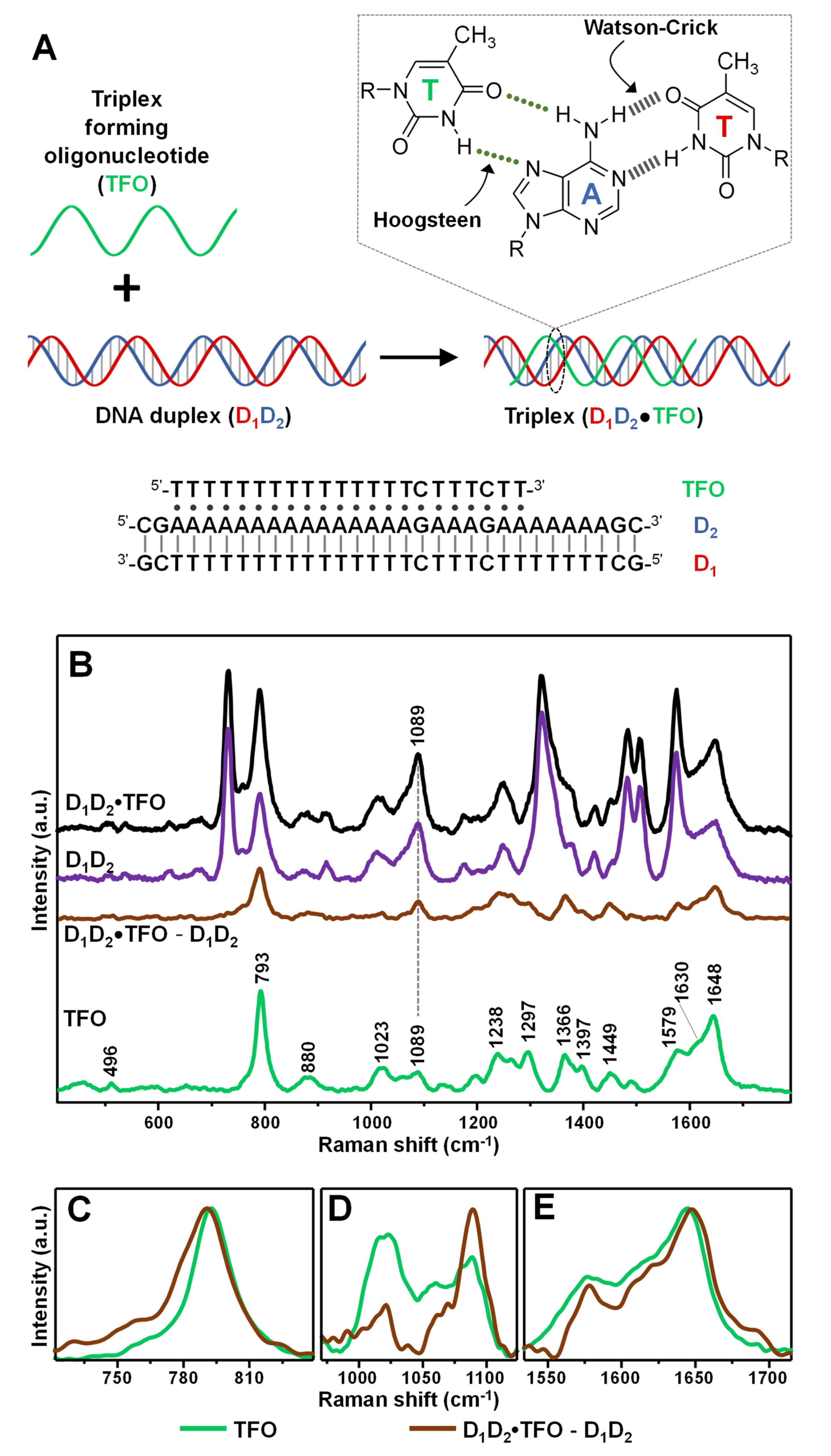 Nanomaterials 11 00326 g002 Nanomaterials 11 00326 g002