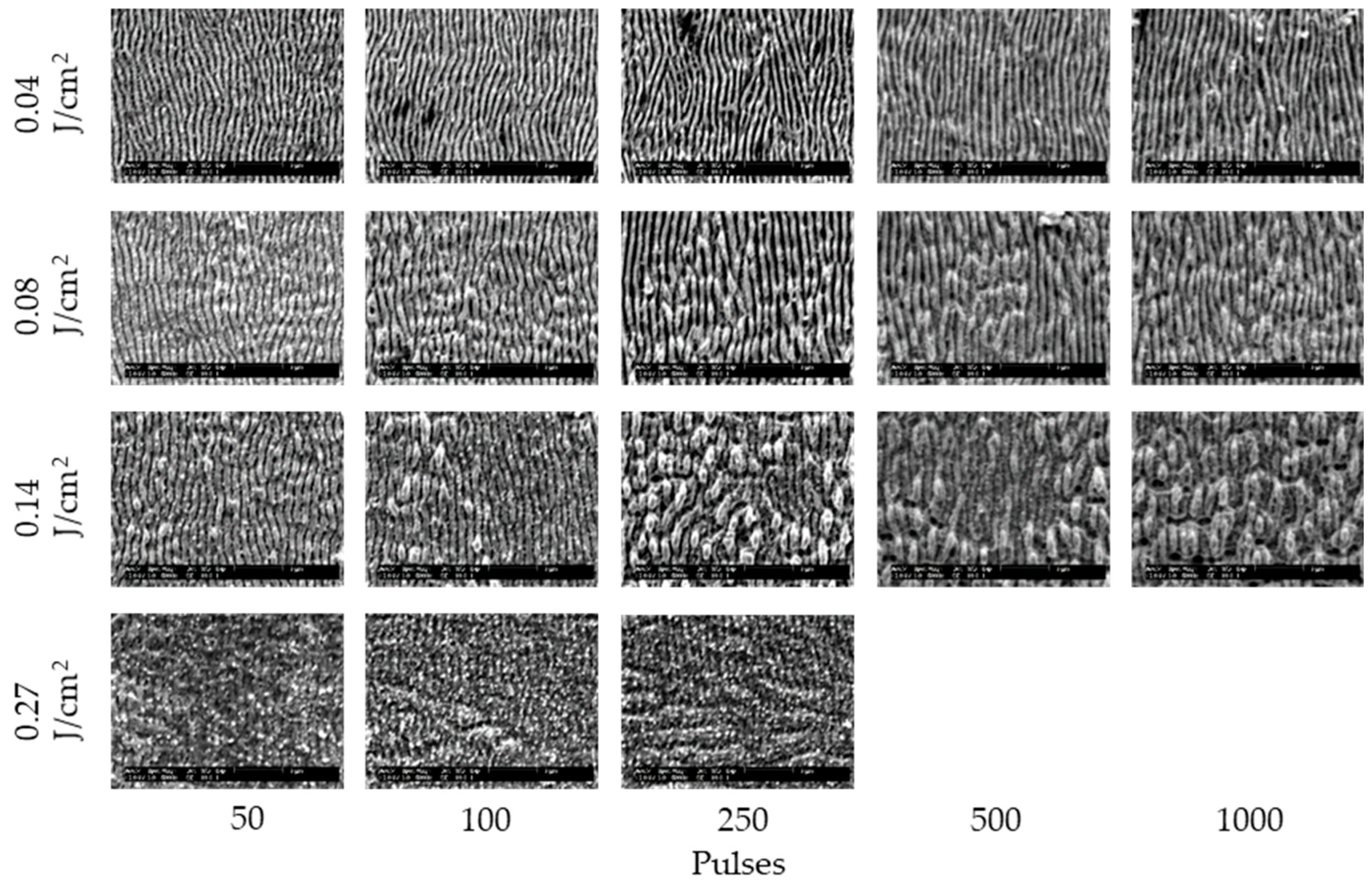 Nanomaterials 11 00327 g002