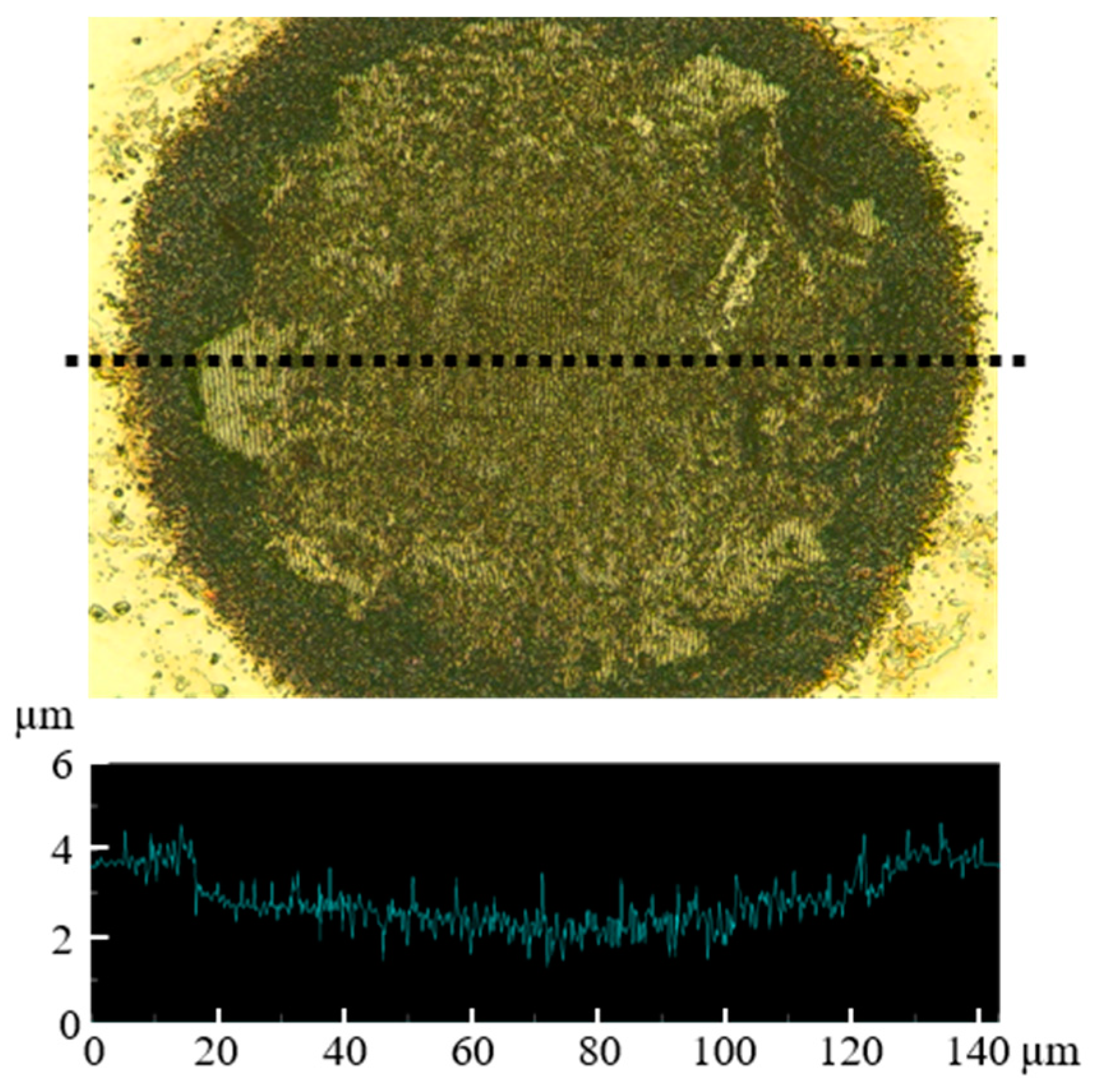 Nanomaterials 11 00327 g010