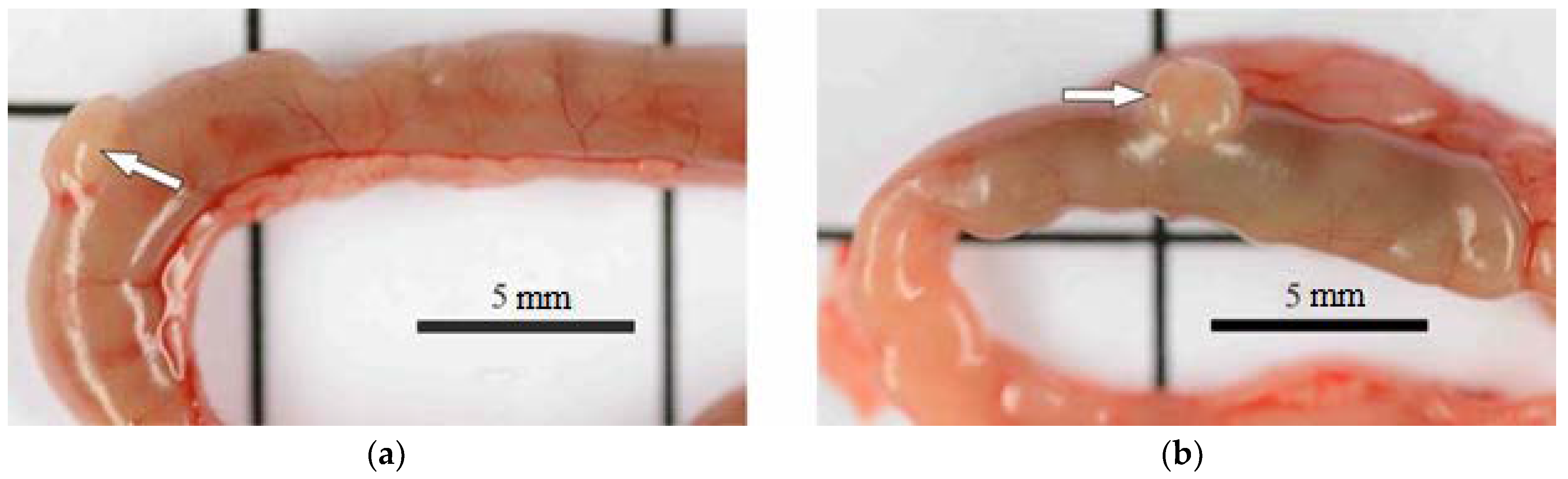 Nanomaterials 11 00332 g005