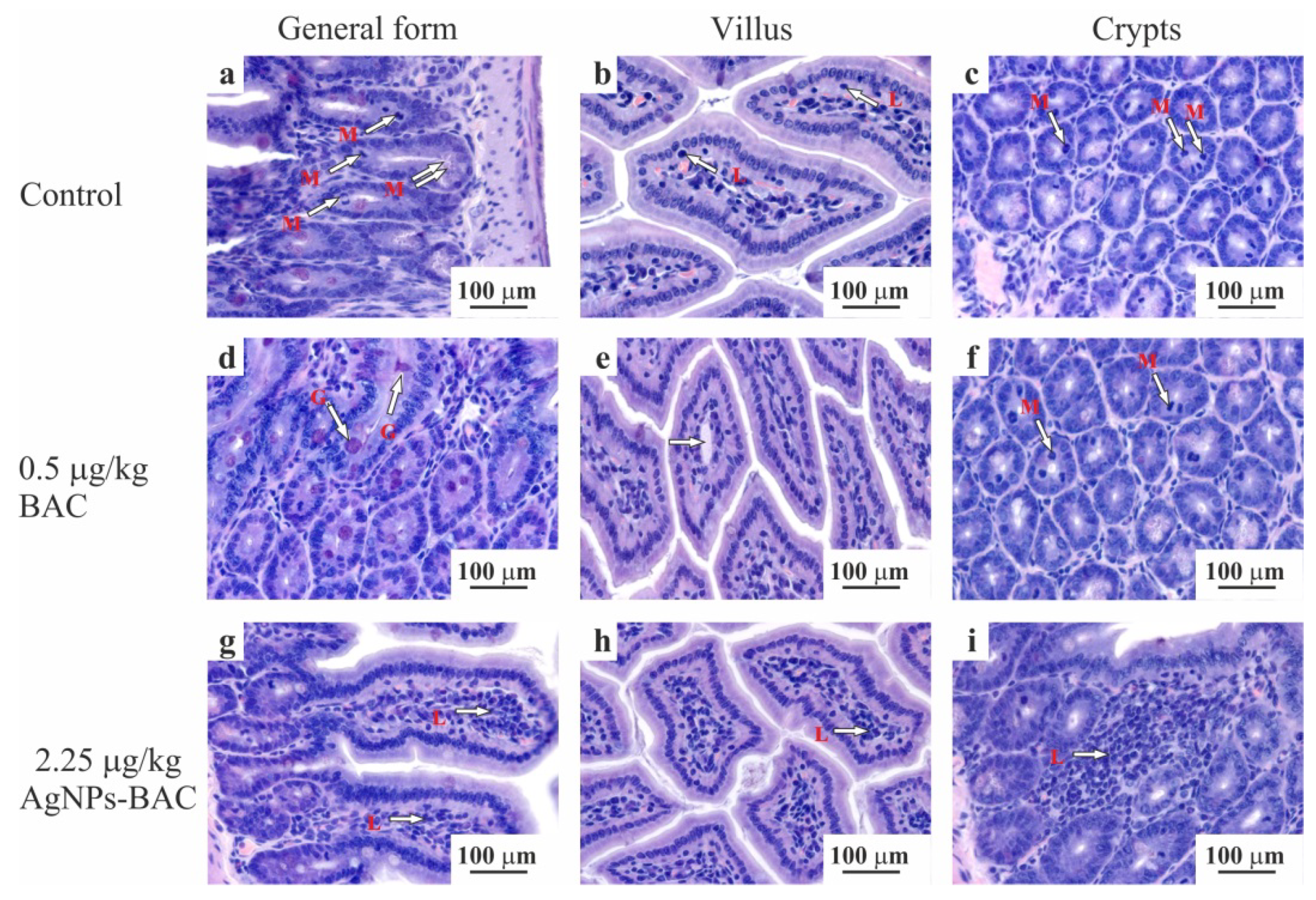 Nanomaterials 11 00332 g006