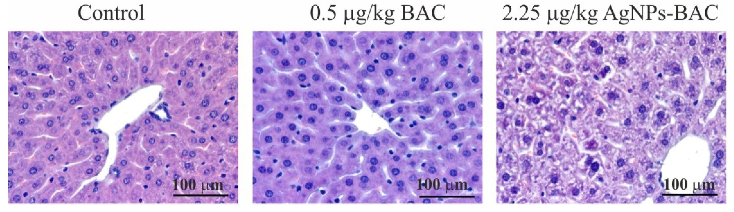 Nanomaterials 11 00332 g007
