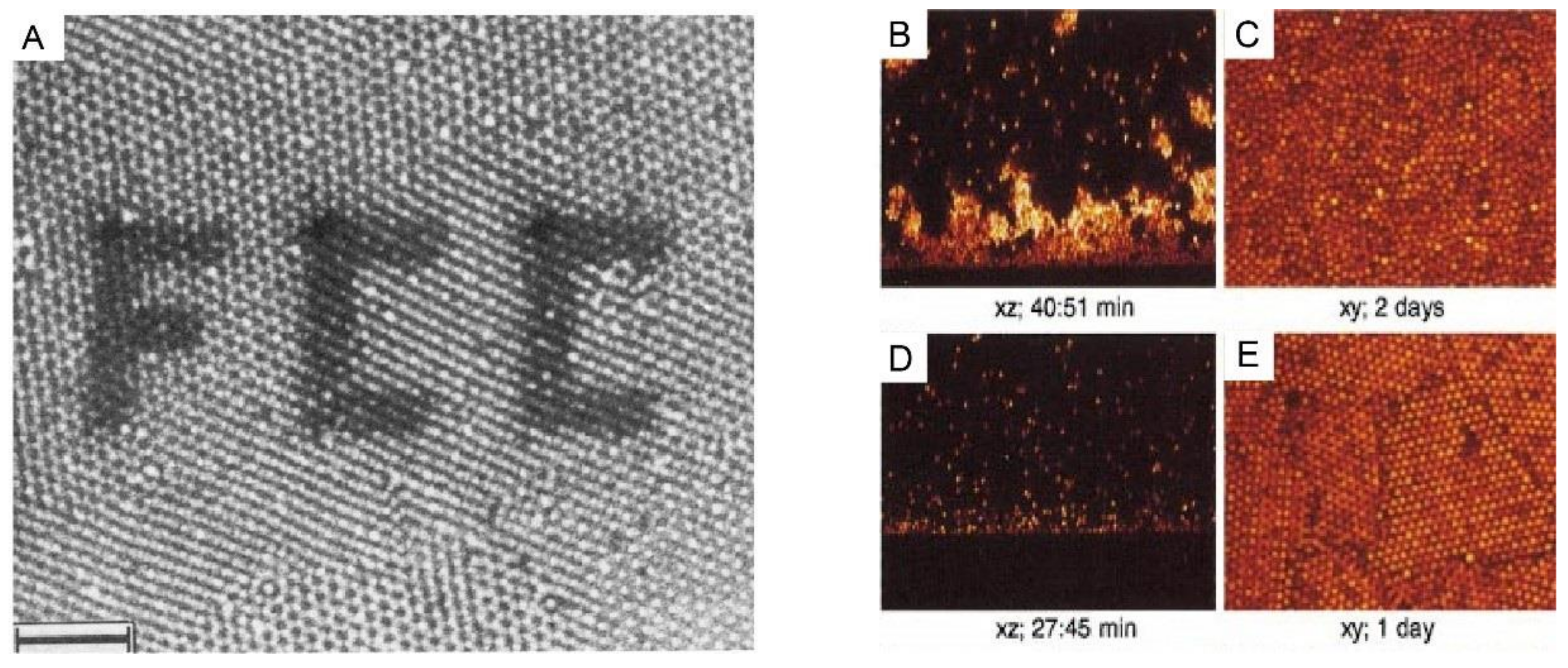 Nanomaterials 11 00333 g003