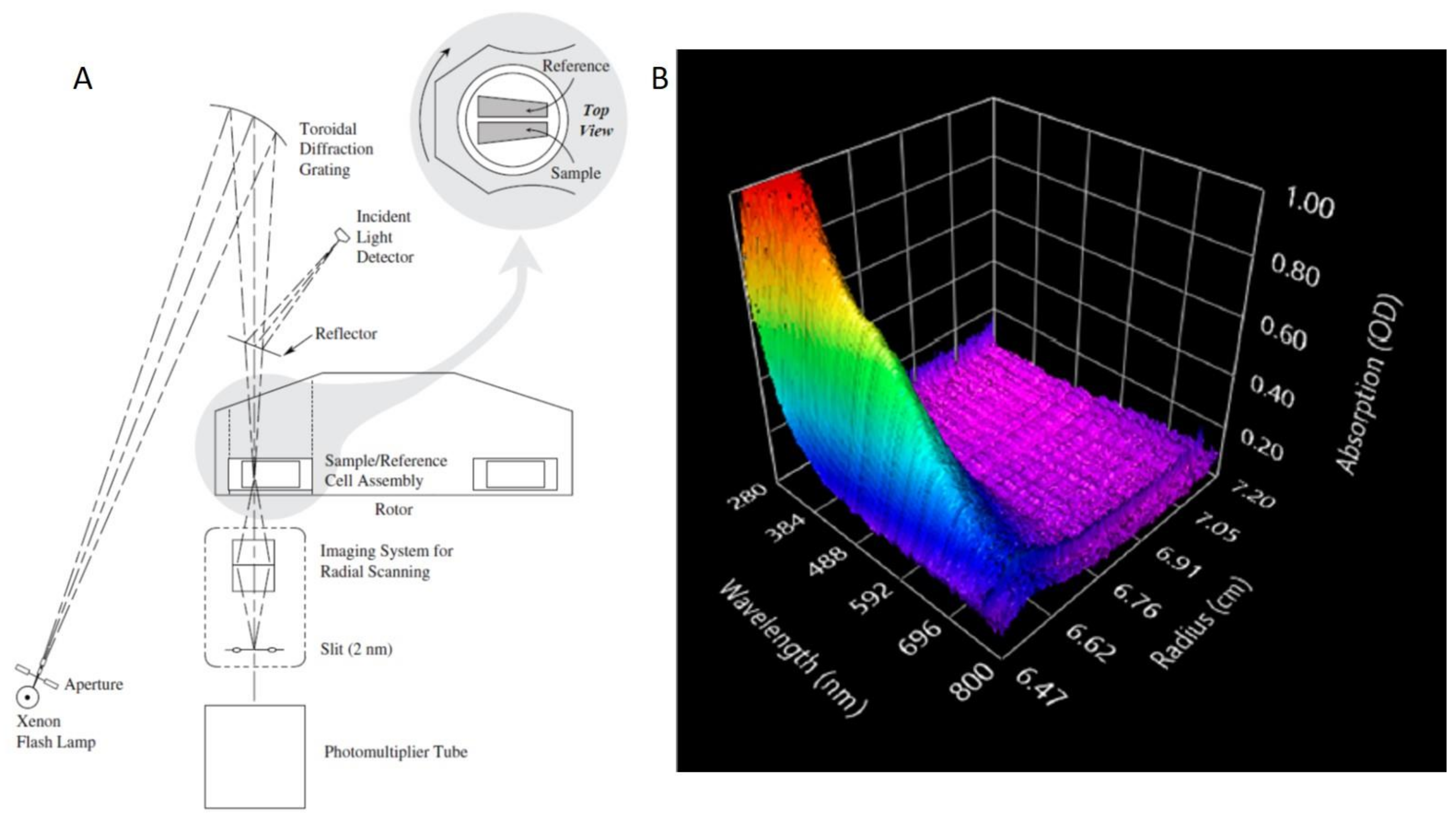 Nanomaterials 11 00333 g006