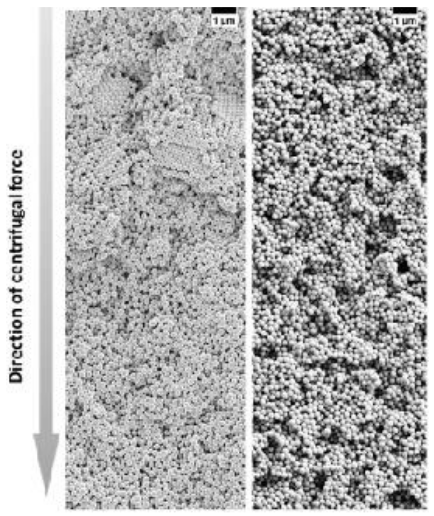 Nanomaterials 11 00333 g012