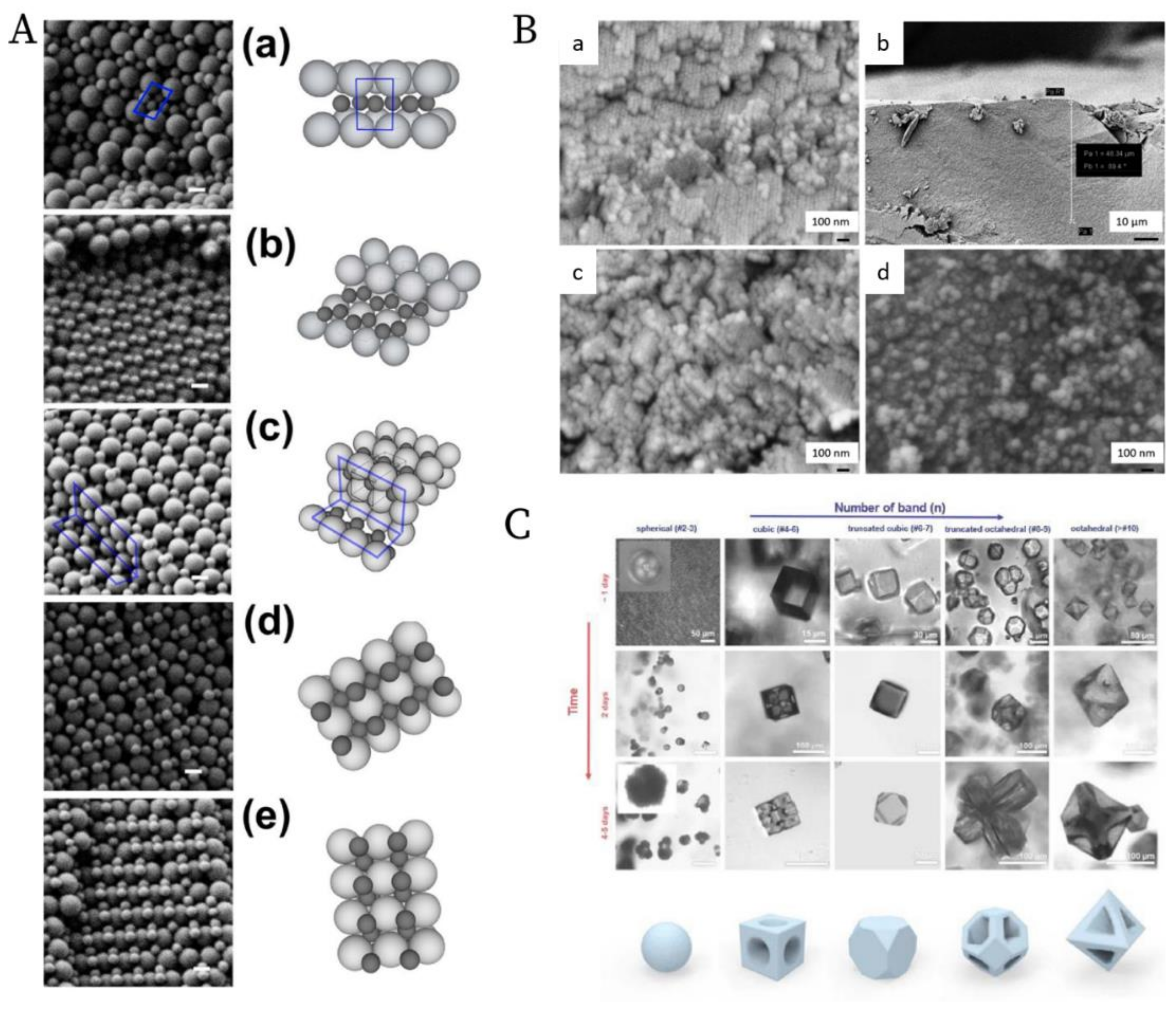 Nanomaterials 11 00333 g013