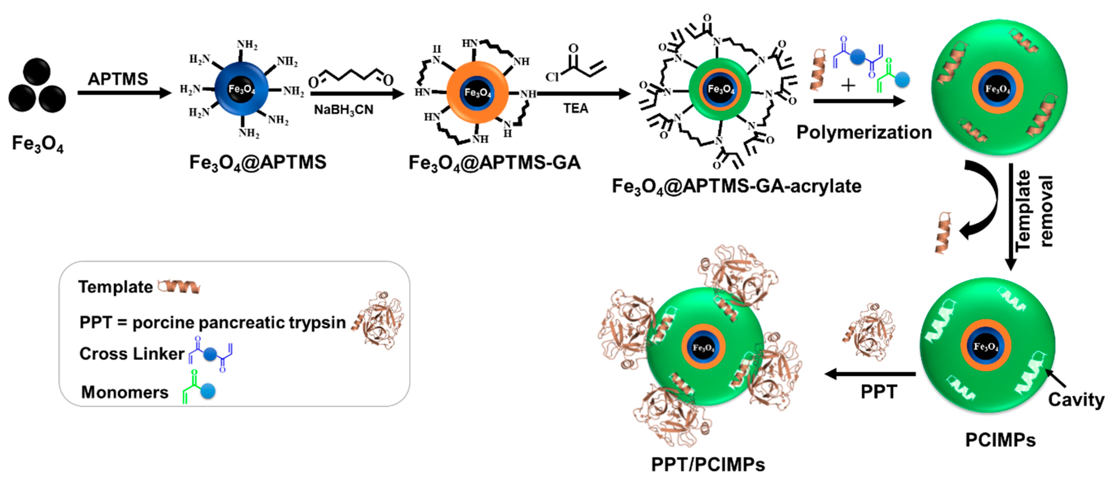 Nanomaterials 11 00334 g001 Nanomaterials 11 00334 g001