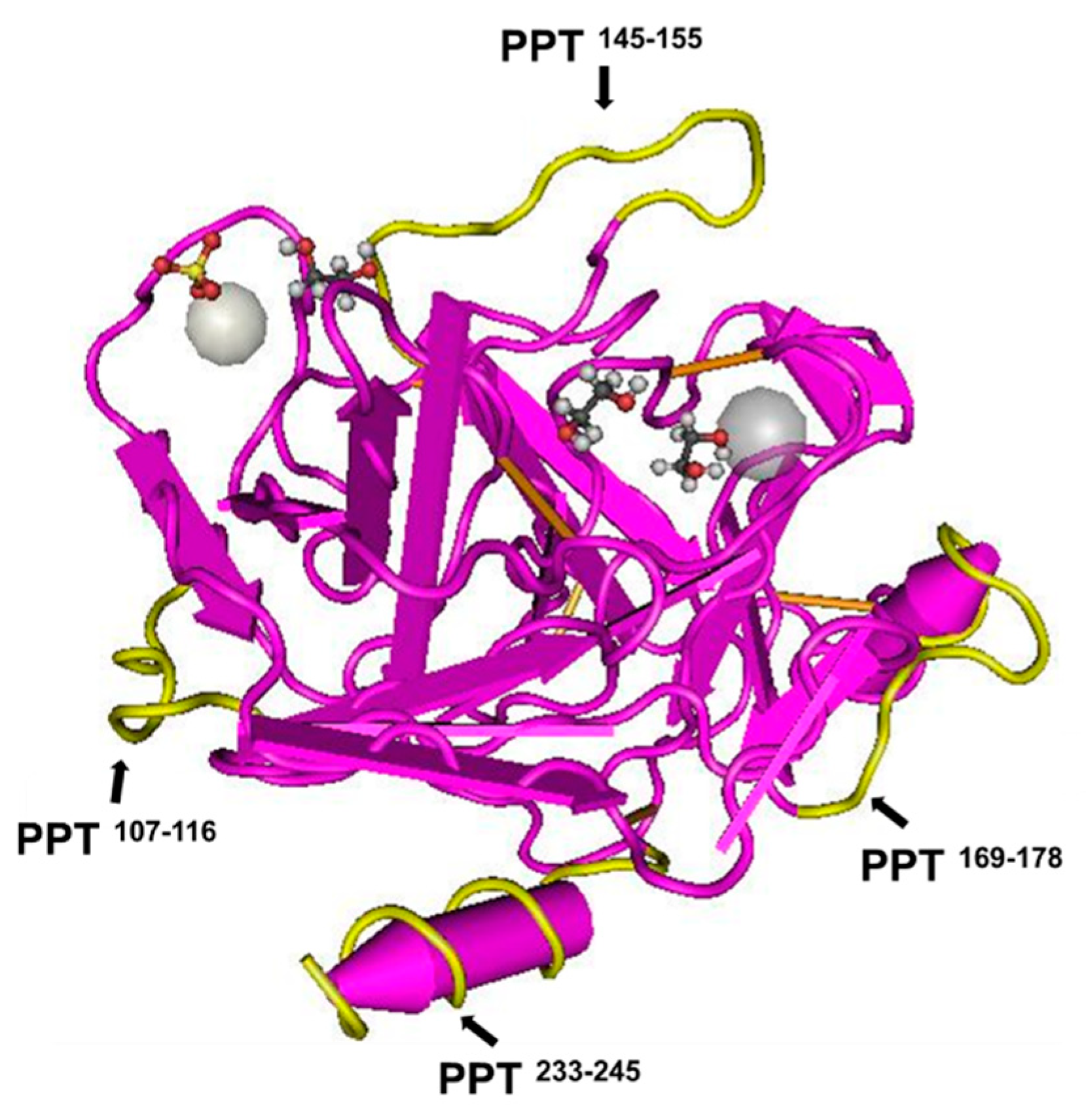 Nanomaterials 11 00334 g002 Nanomaterials 11 00334 g002