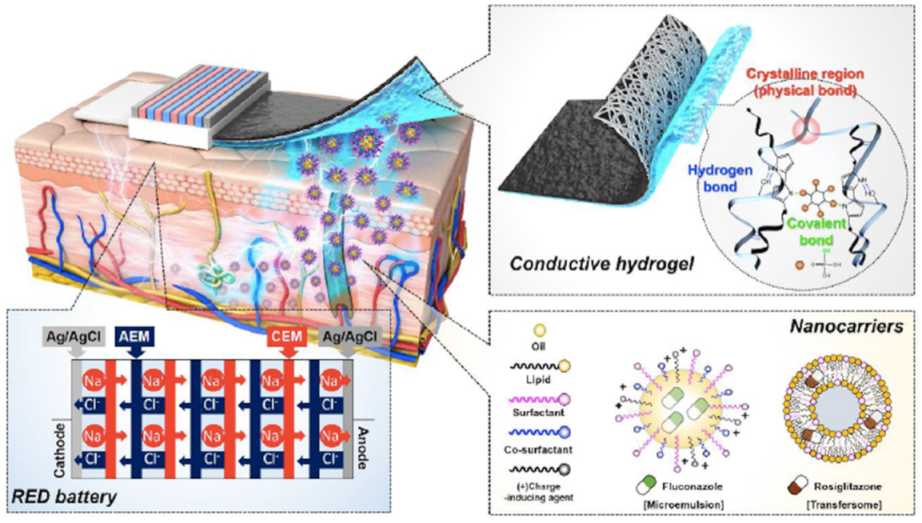 Nanomaterials 11 00335 g002 Nanomaterials 11 00335 g002