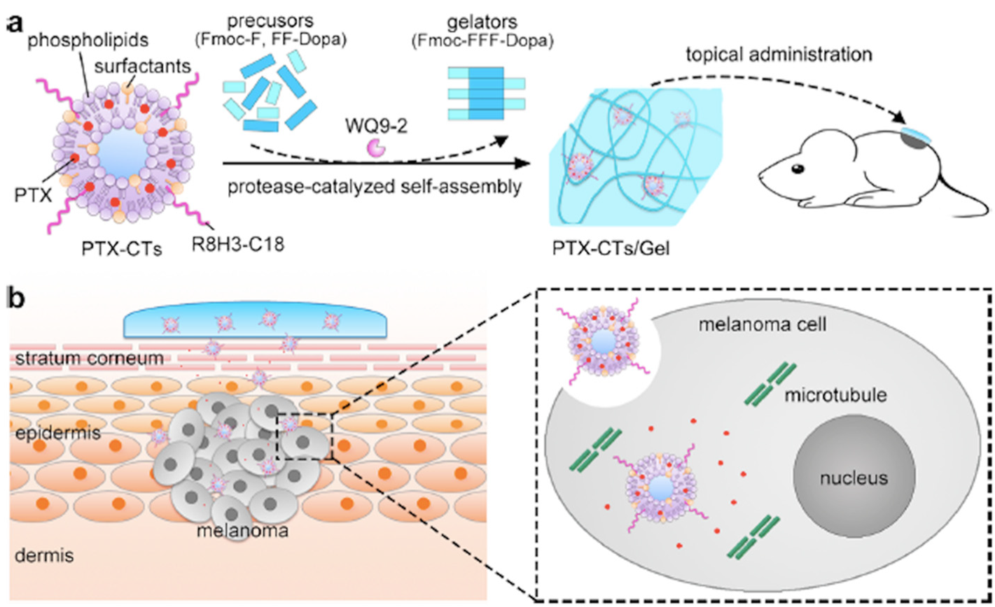 Nanomaterials 11 00335 g004 Nanomaterials 11 00335 g004