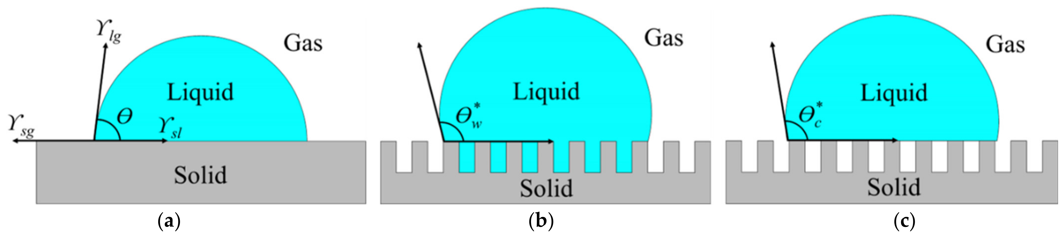 Nanomaterials 11 00339 g001