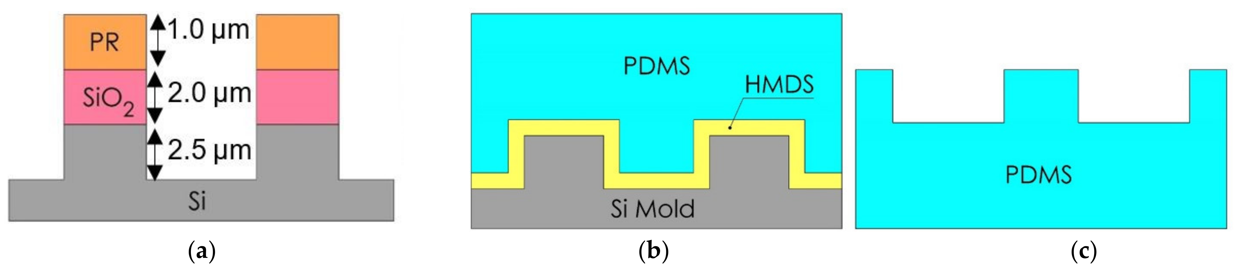 Nanomaterials 11 00339 g004