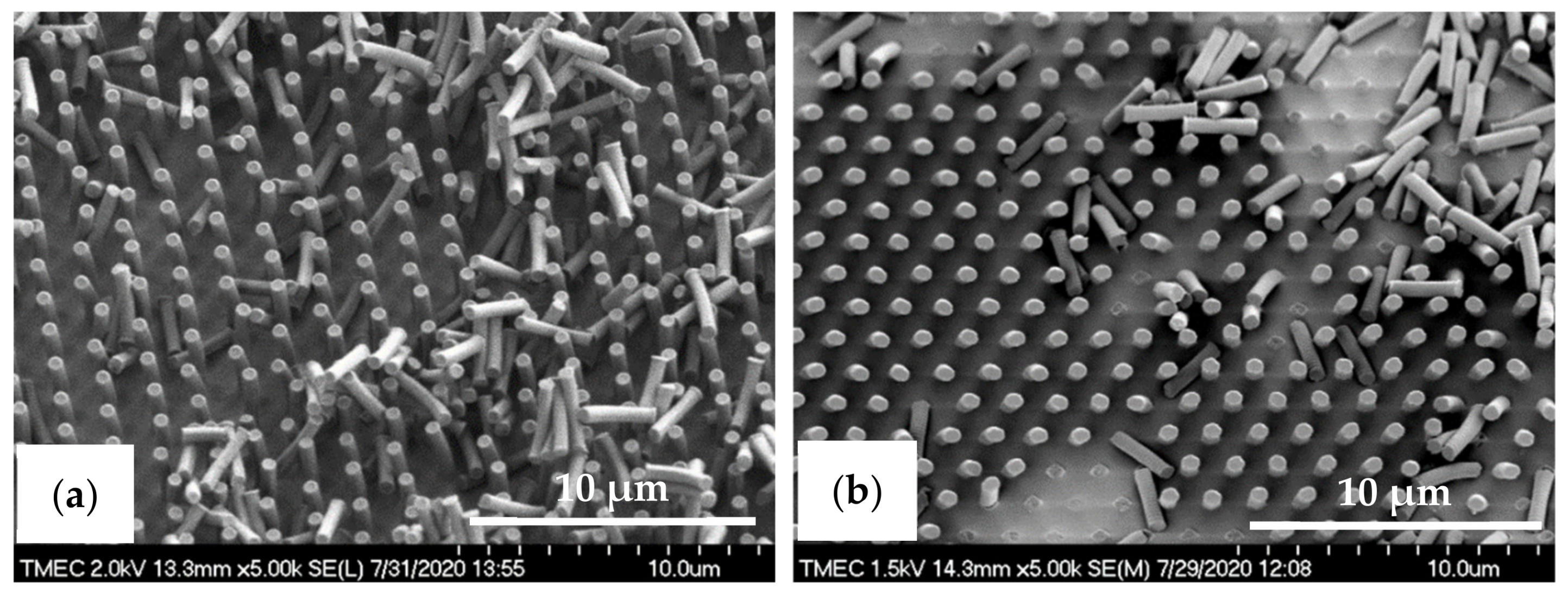 Nanomaterials 11 00339 g020