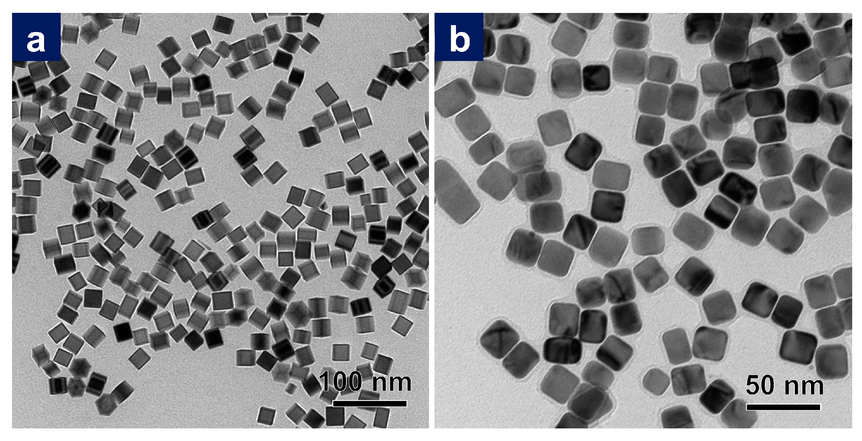 Nanomaterials 11 00340 g001
