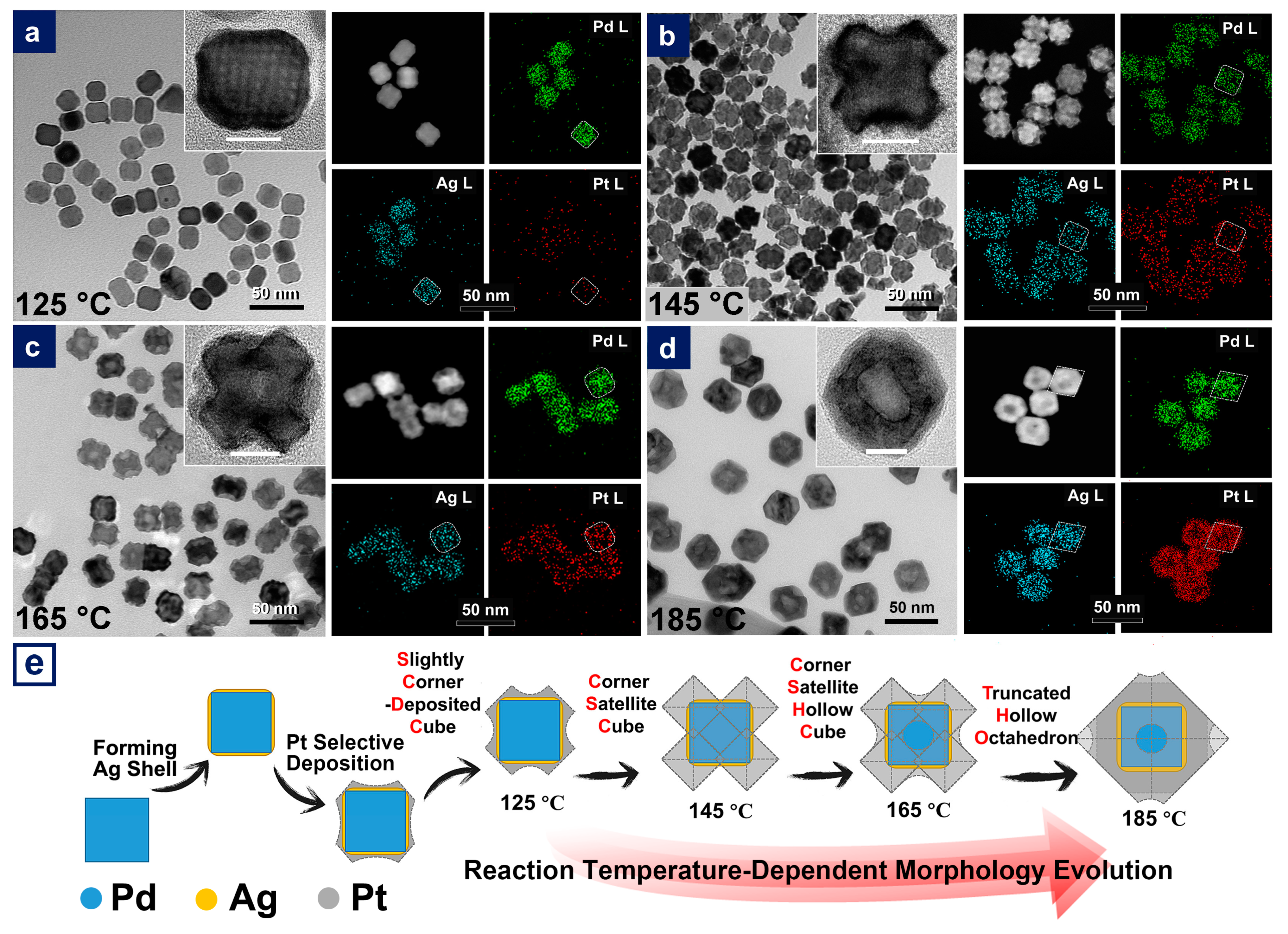 Nanomaterials 11 00340 g002