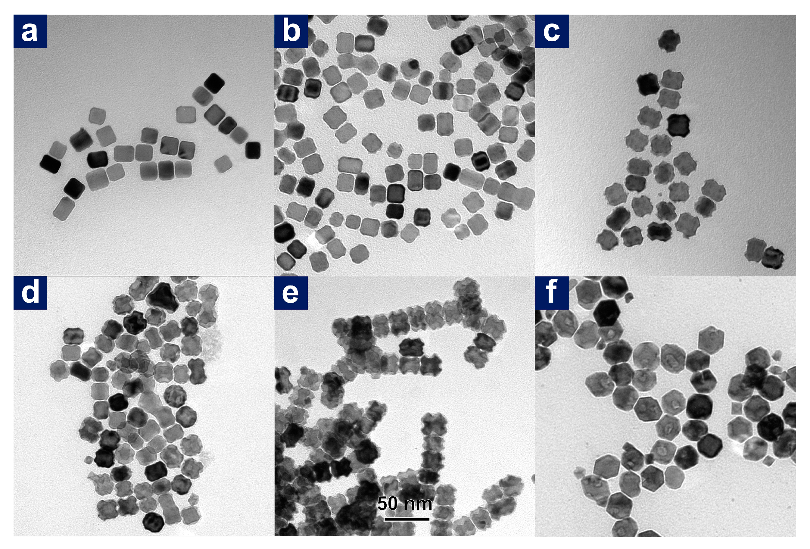 Nanomaterials 11 00340 g008