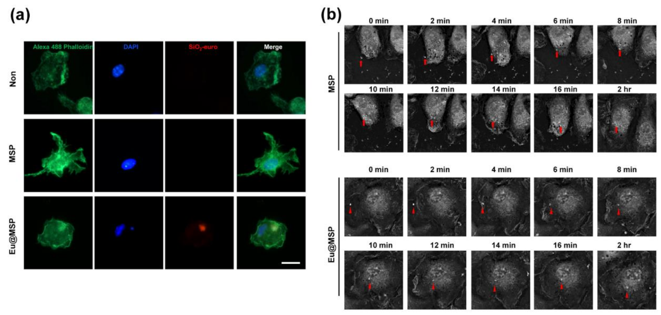 Nanomaterials 11 00343 g007