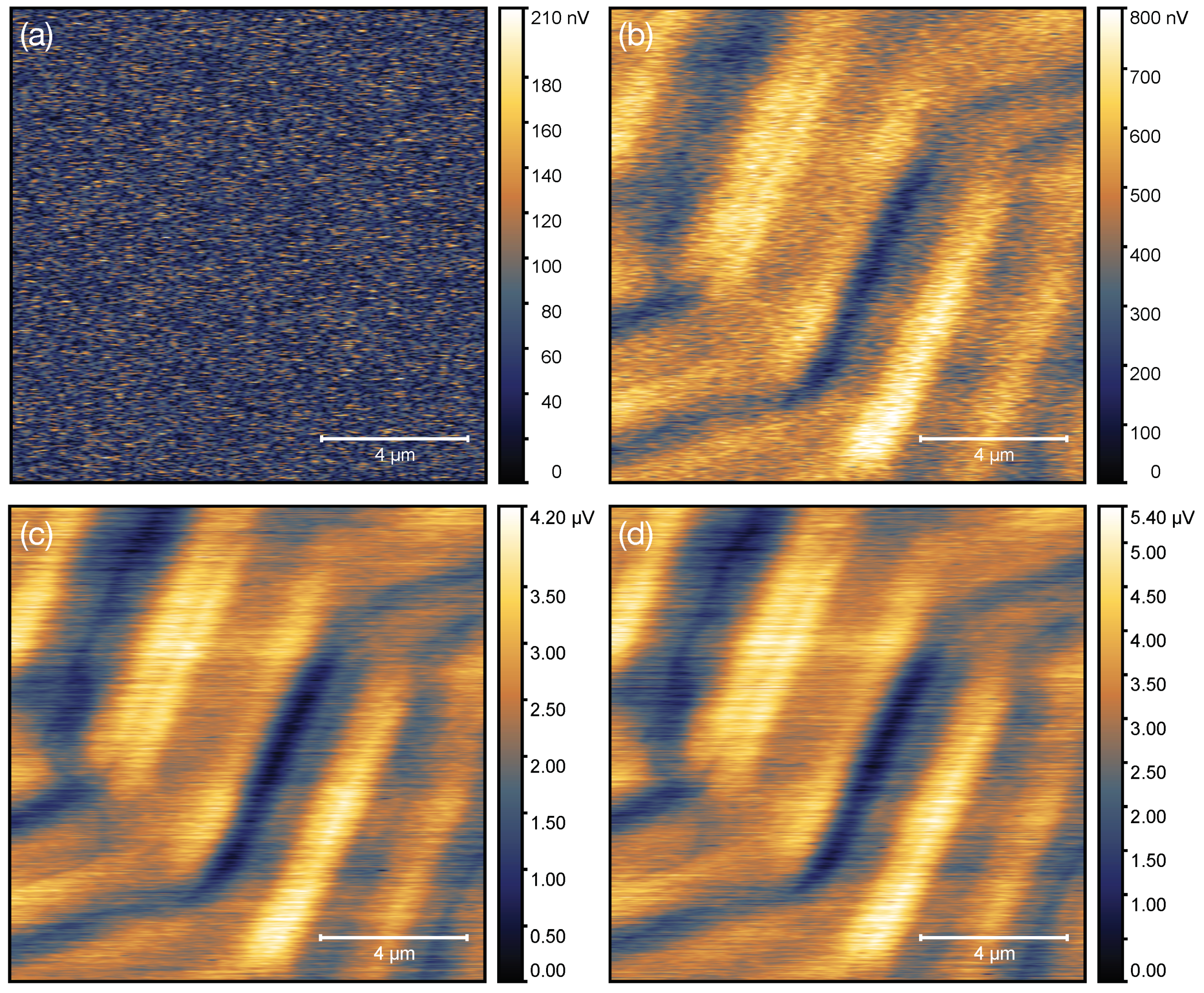 Nanomaterials 11 00348 g006