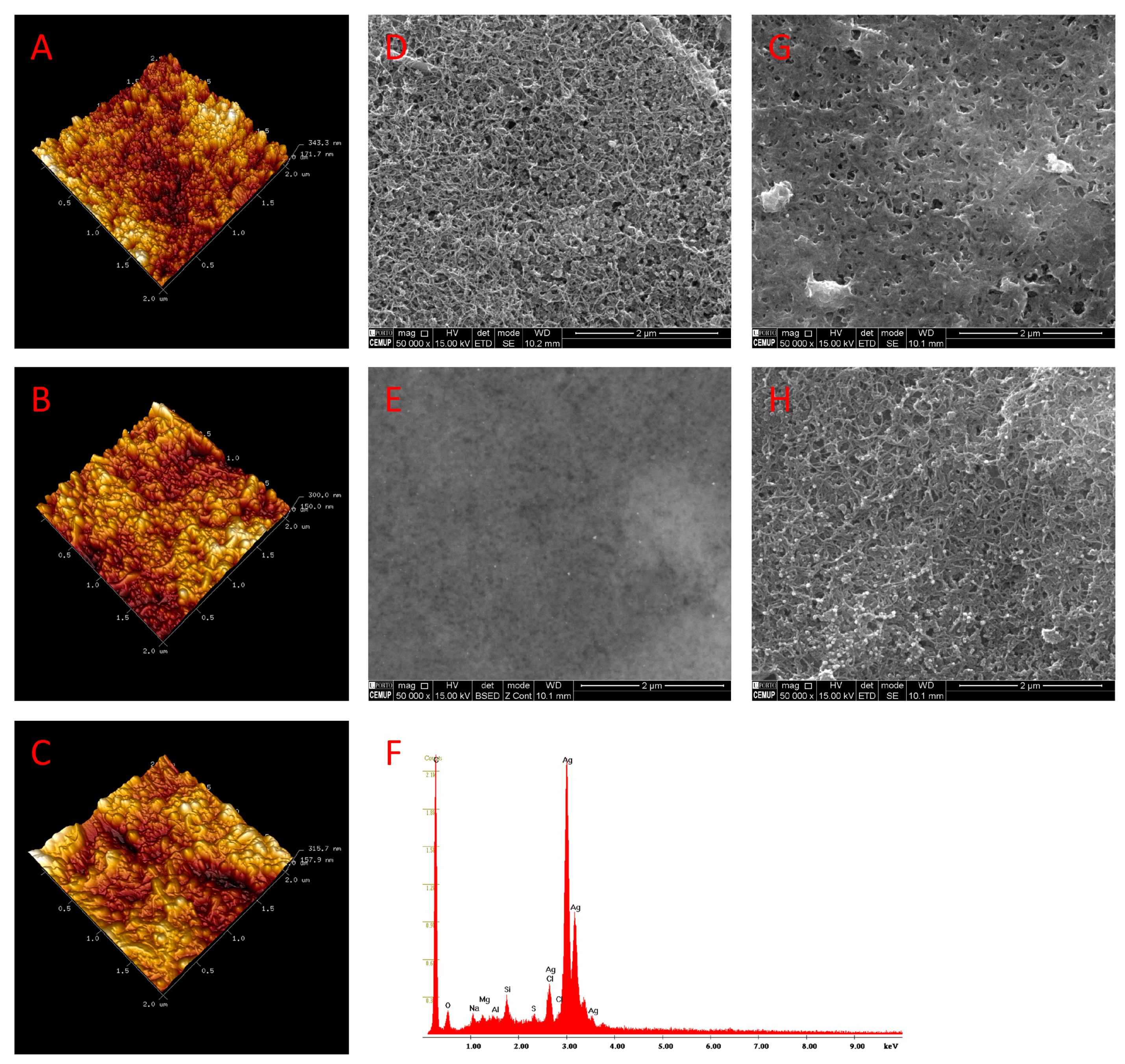 Nanomaterials 11 00353 g003 Nanomaterials 11 00353 g003