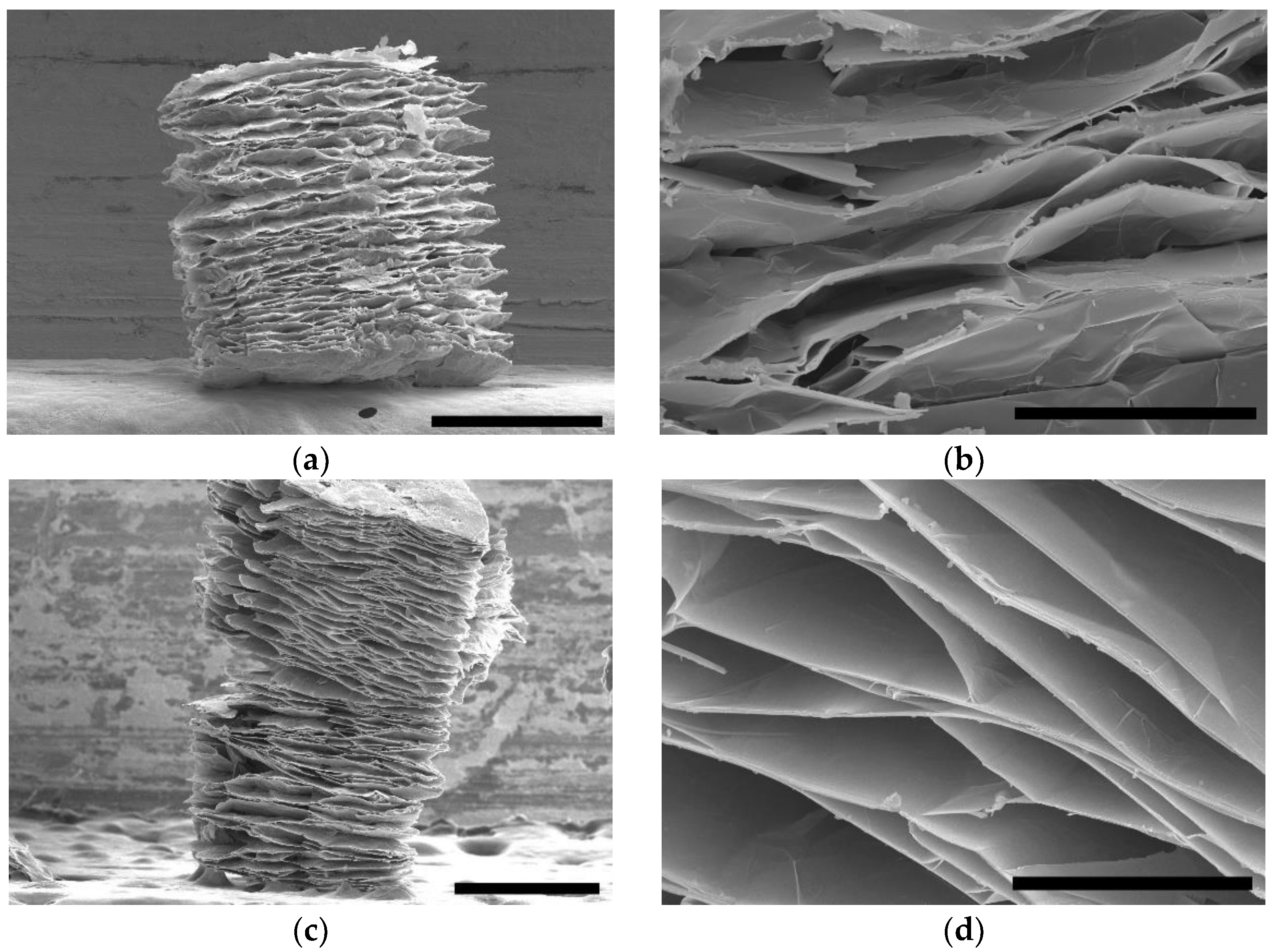 Nanomaterials 11 00367 g001