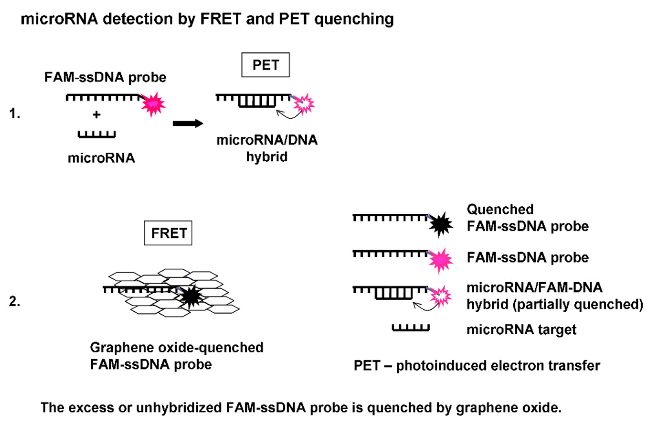 Nanomaterials 11 00368 g001
