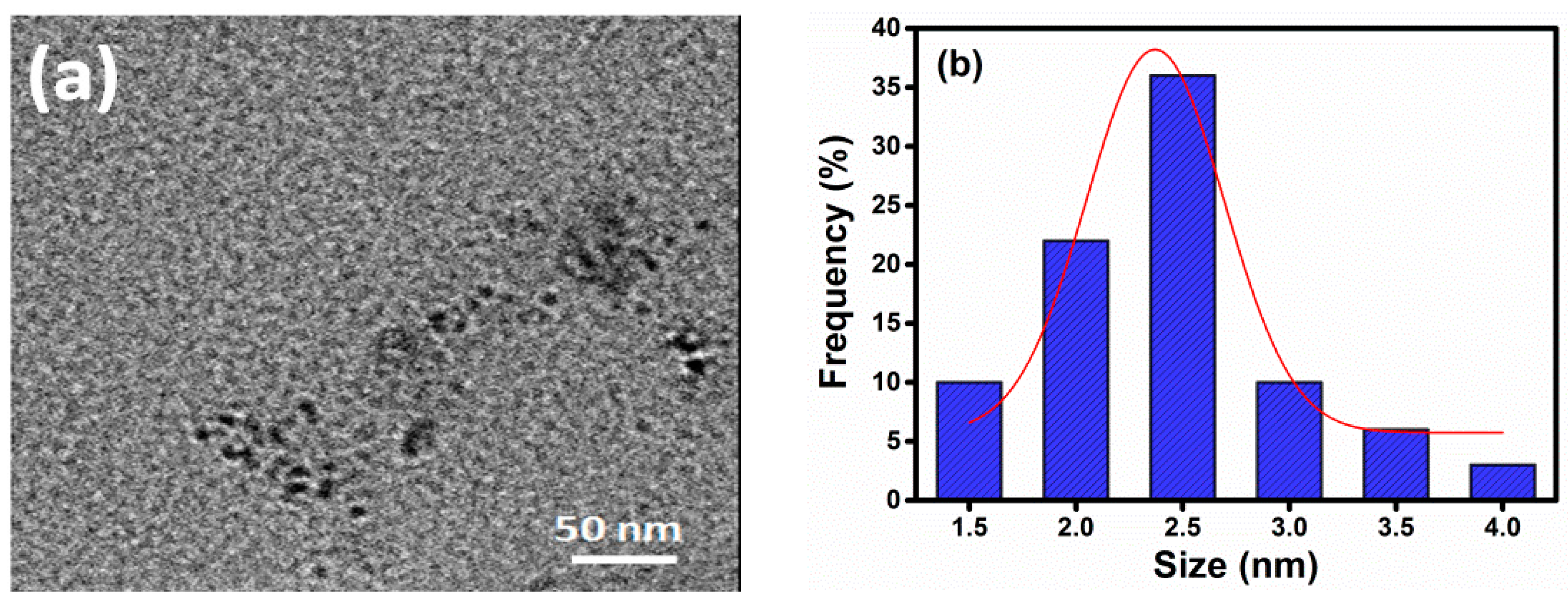 Nanomaterials 11 00369 g001a