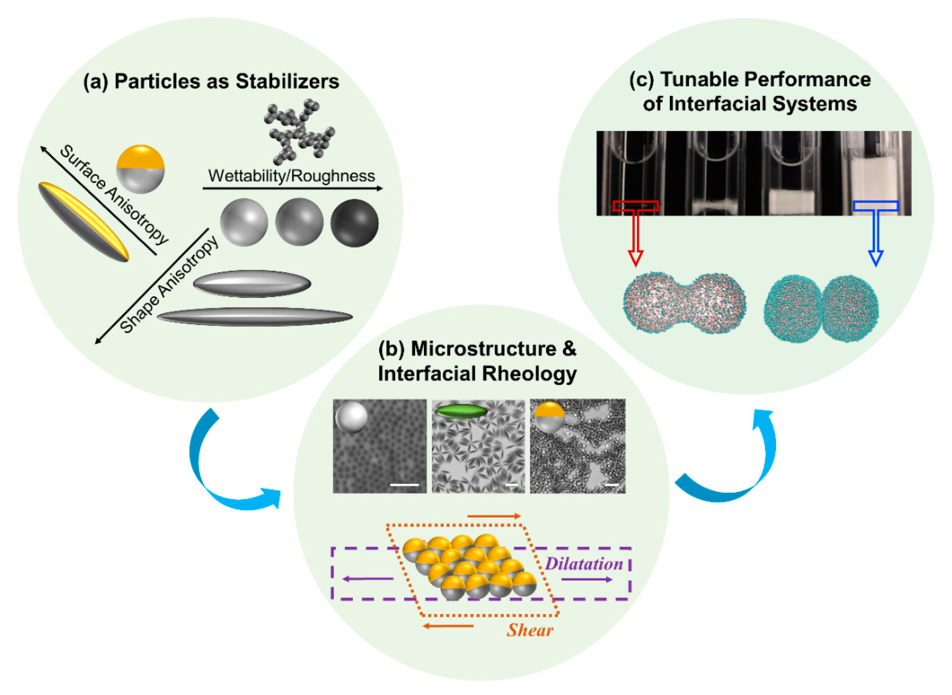 Nanomaterials 11 00374 g001 Nanomaterials 11 00374 g001
