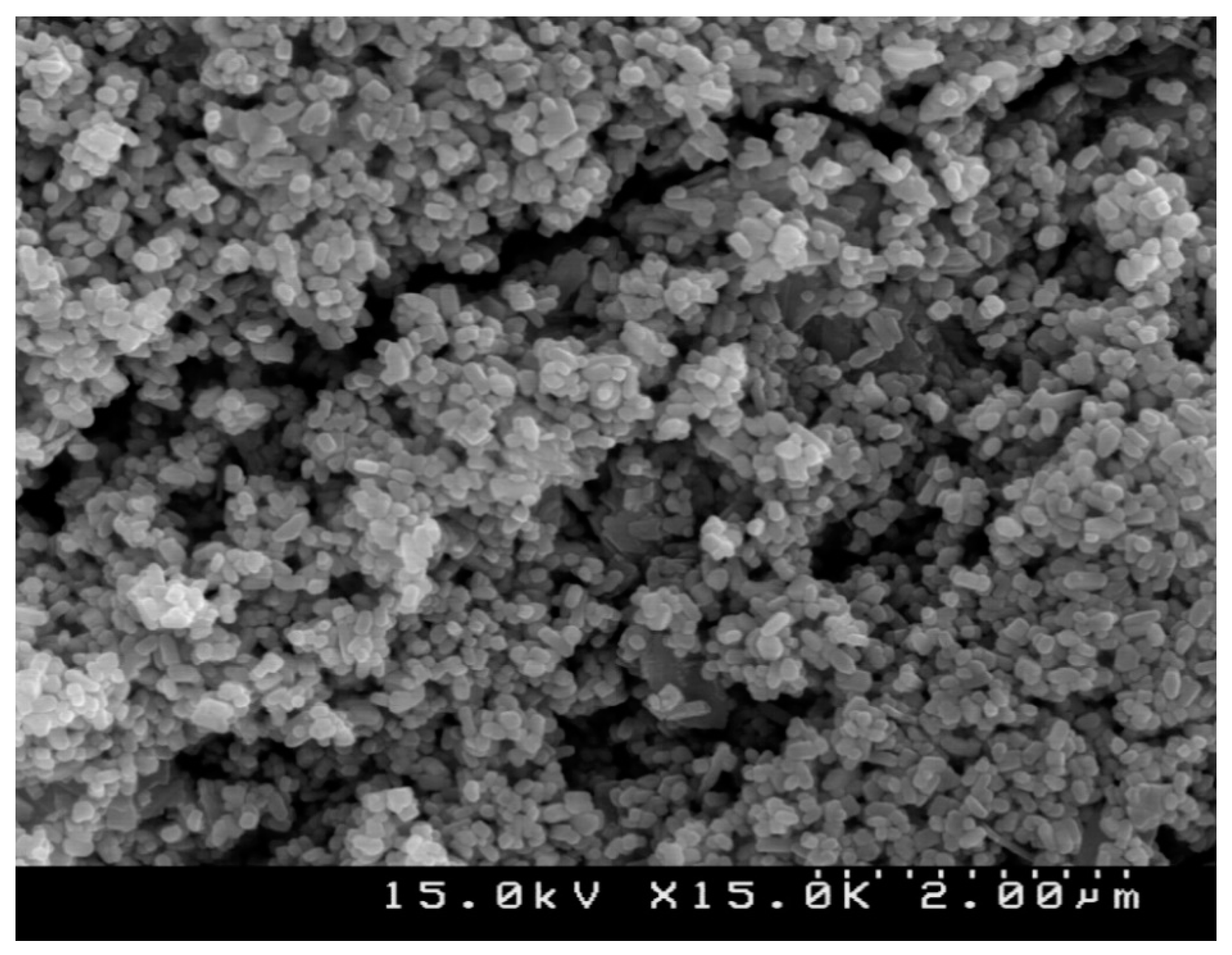 Nanomaterials 11 00378 g002