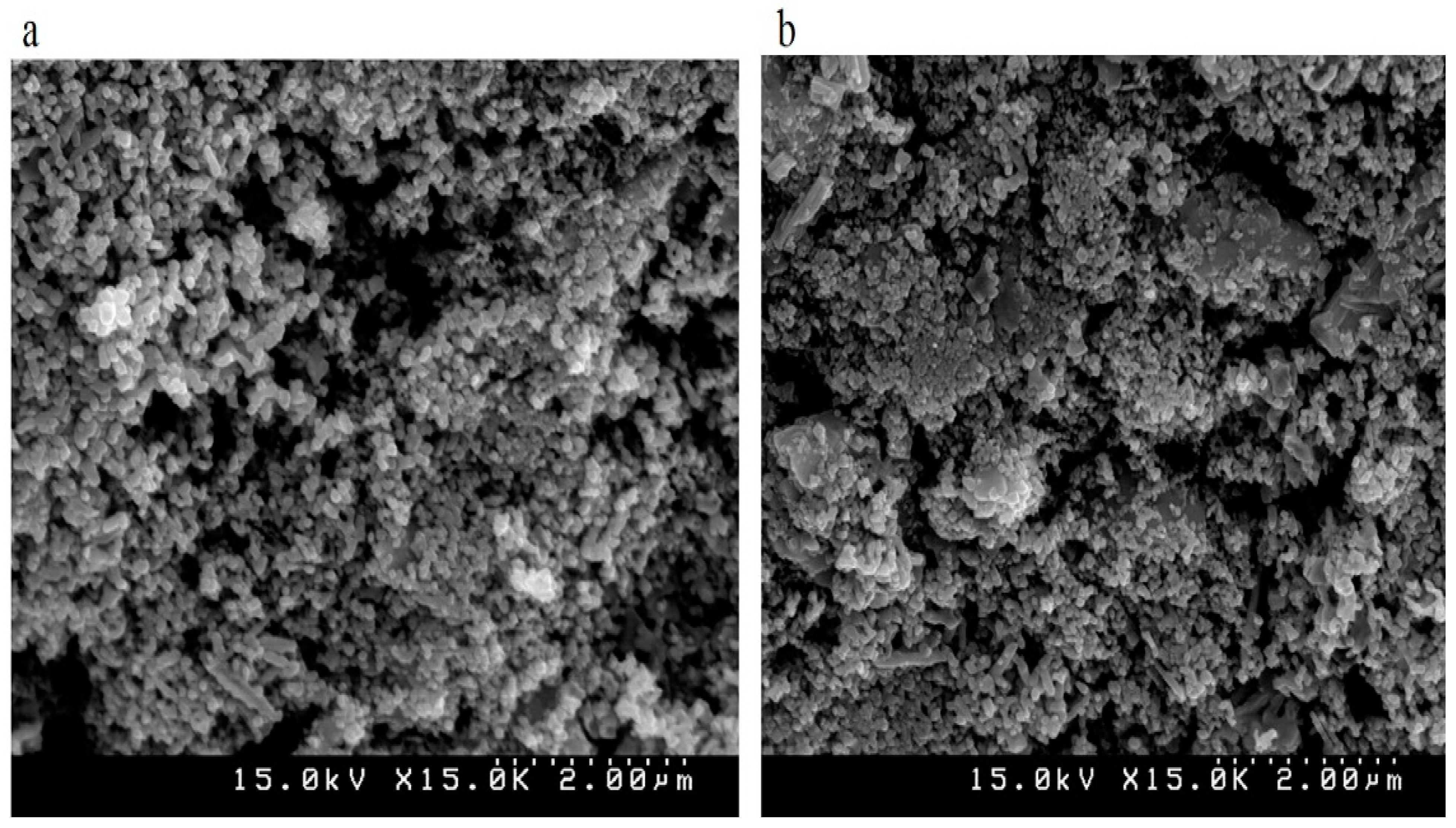 Nanomaterials 11 00378 g003