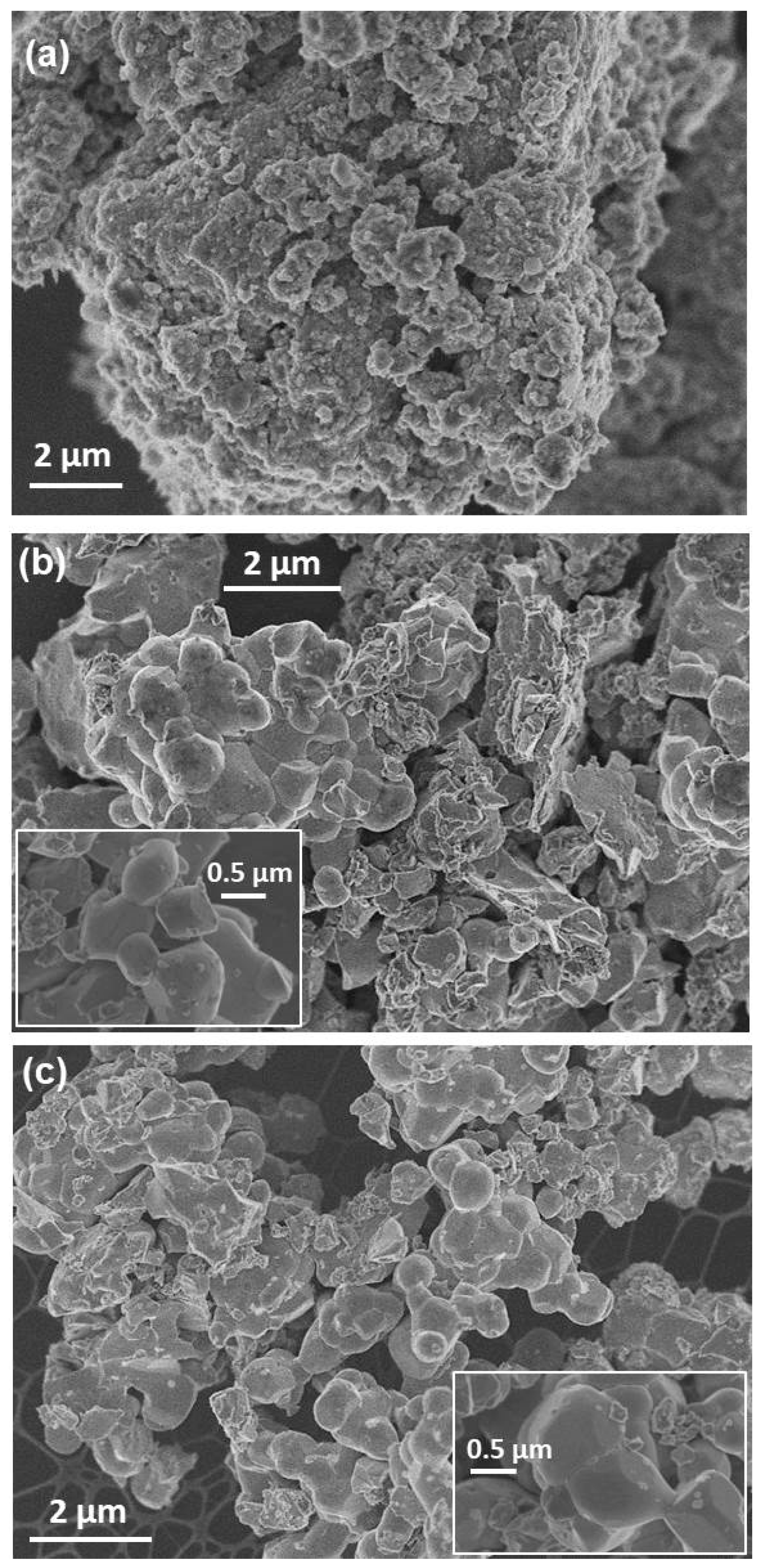 Nanomaterials 11 00380 g006 Nanomaterials 11 00380 g006