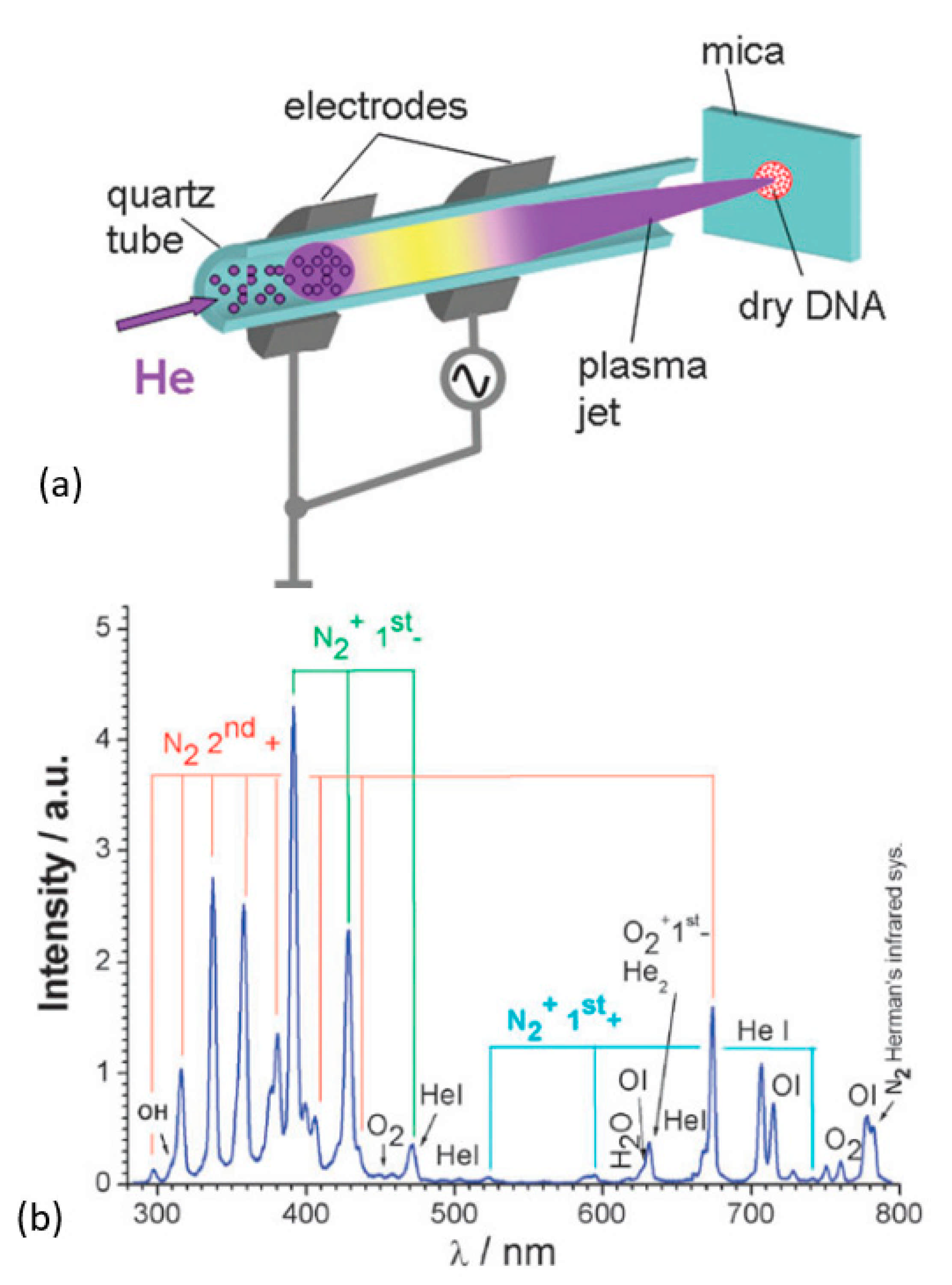 Nanomaterials 11 00382 g011