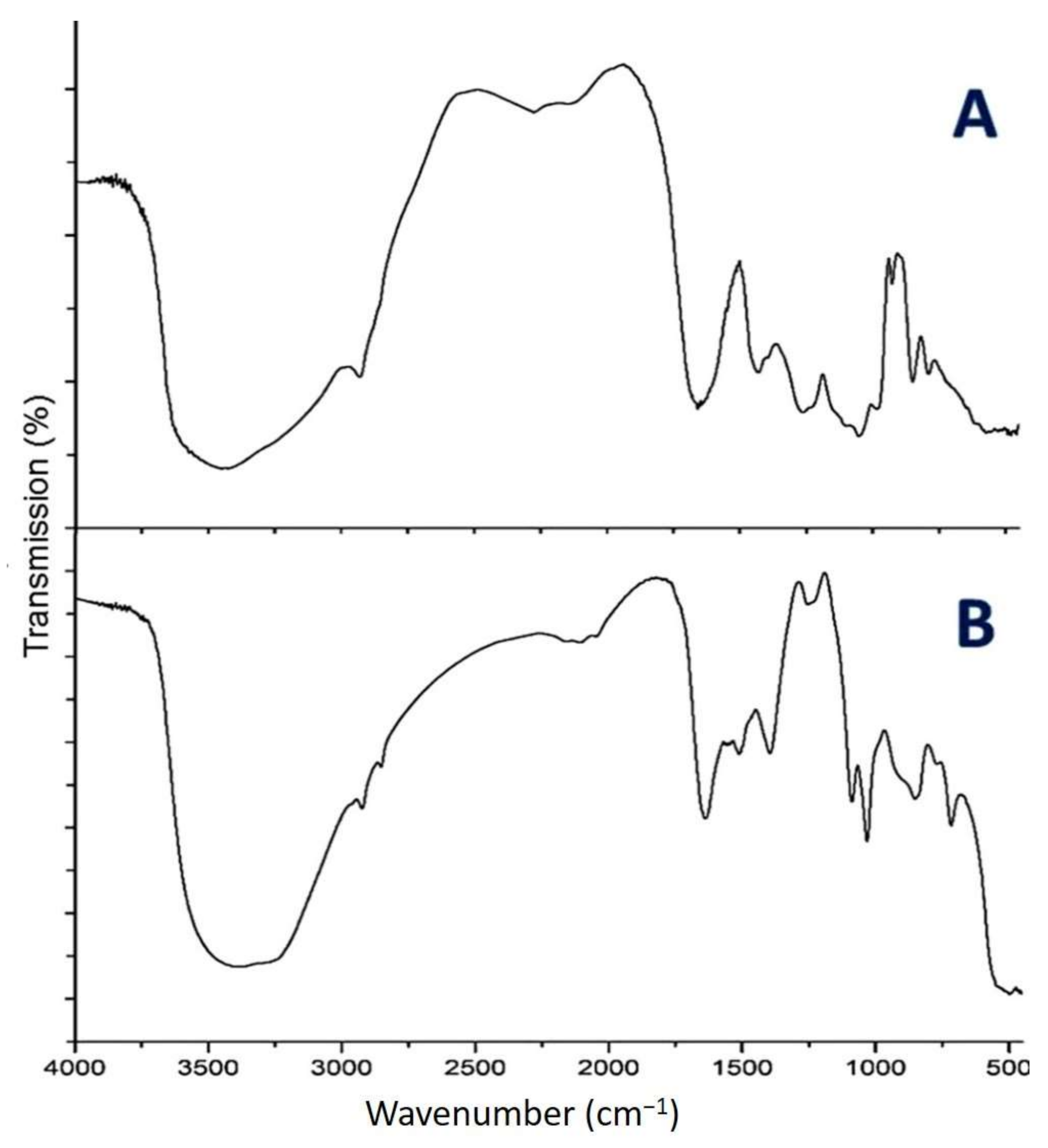 Nanomaterials 11 00385 g002