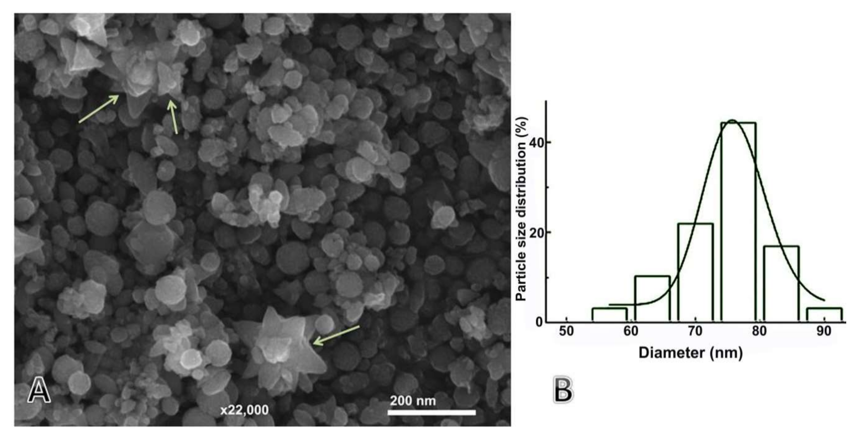 Nanomaterials 11 00385 g005